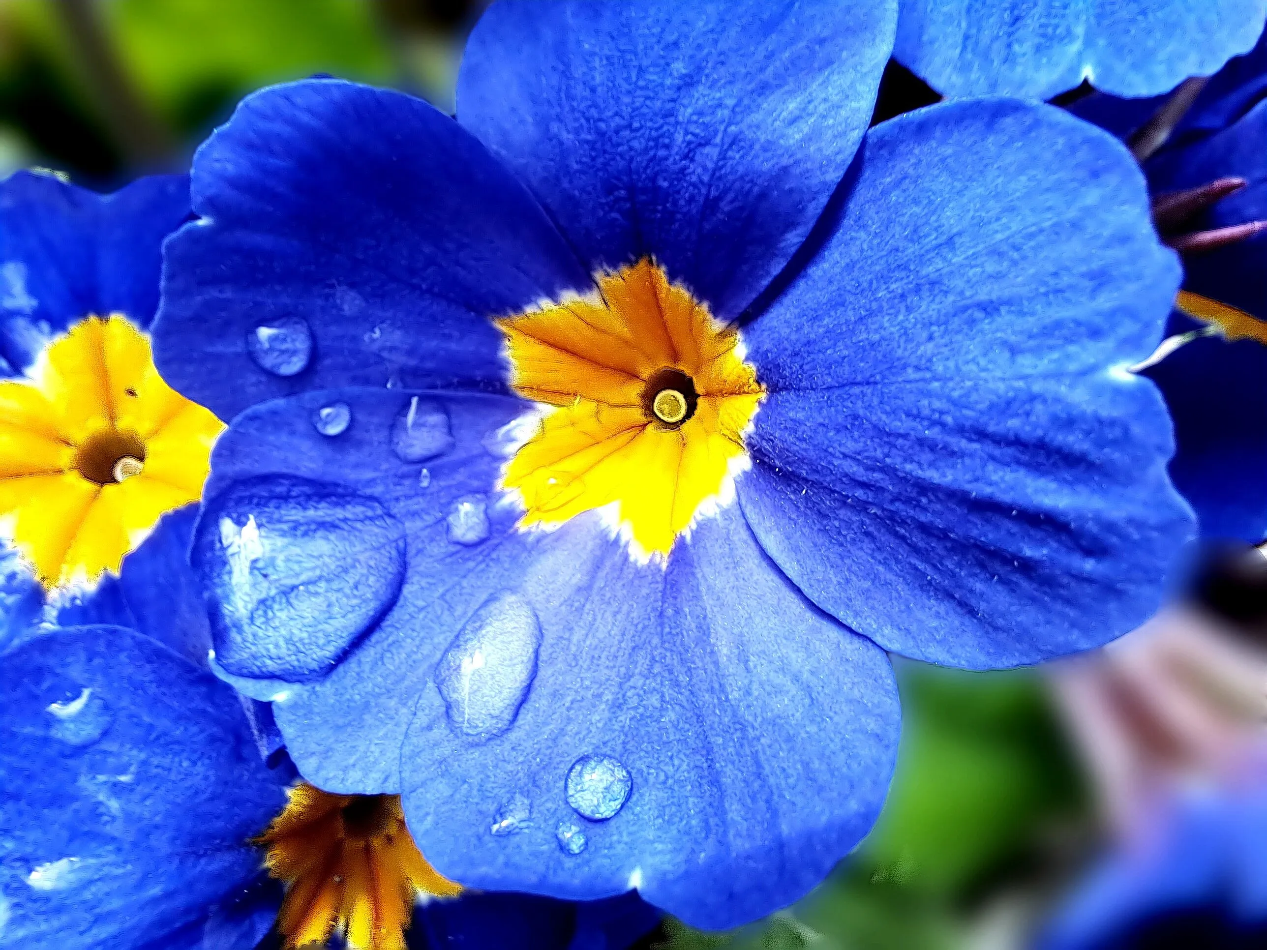 Beautiful raindrop