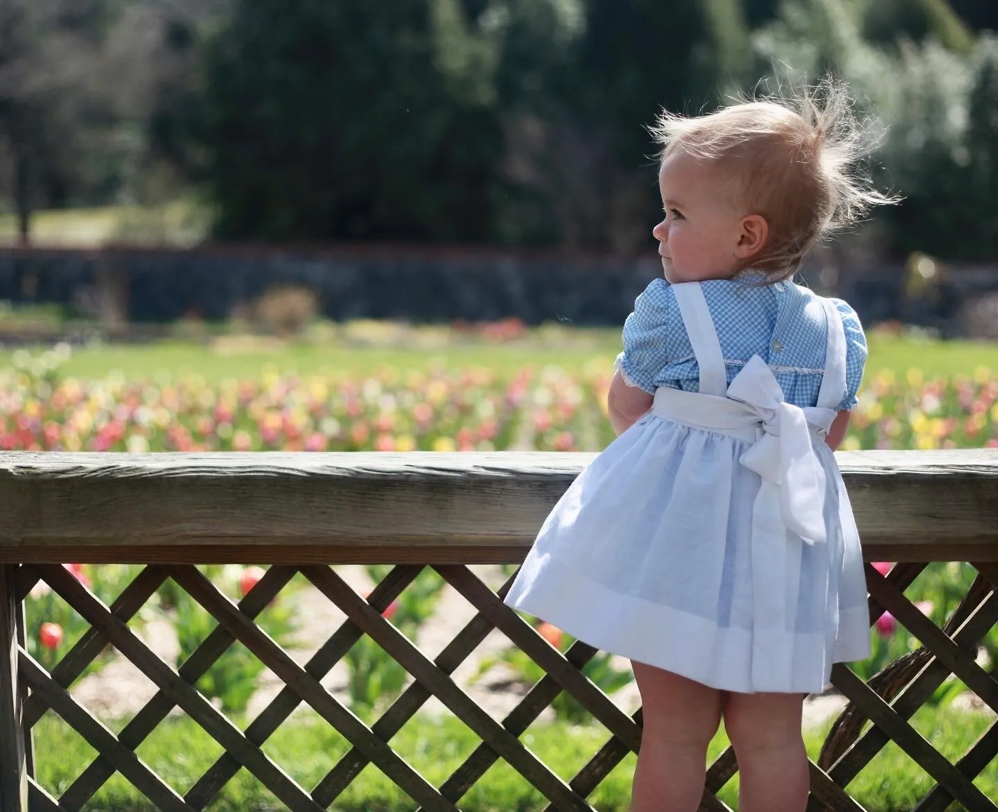 Toddler profile portrait