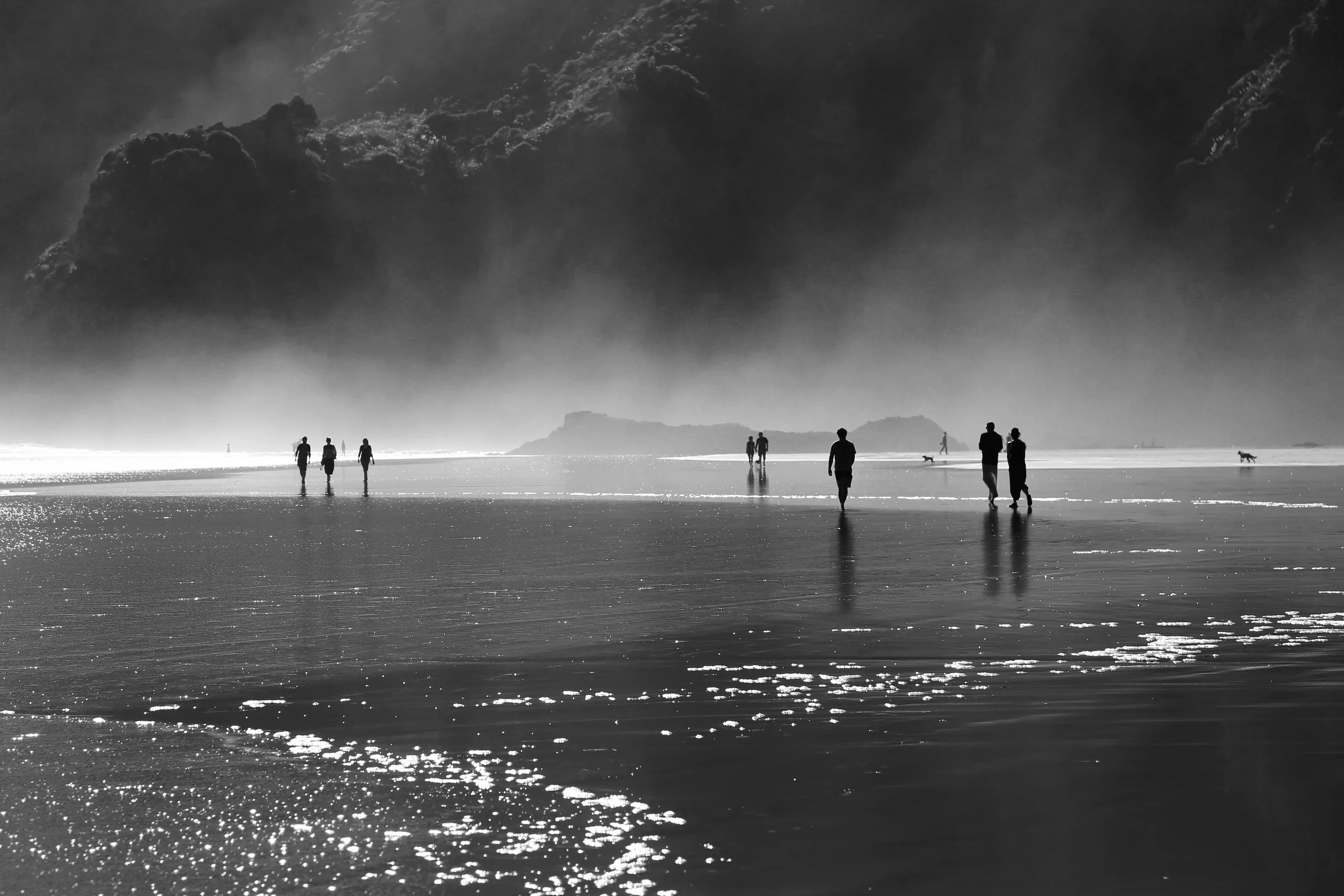 Bethell's Beach, New Zealand