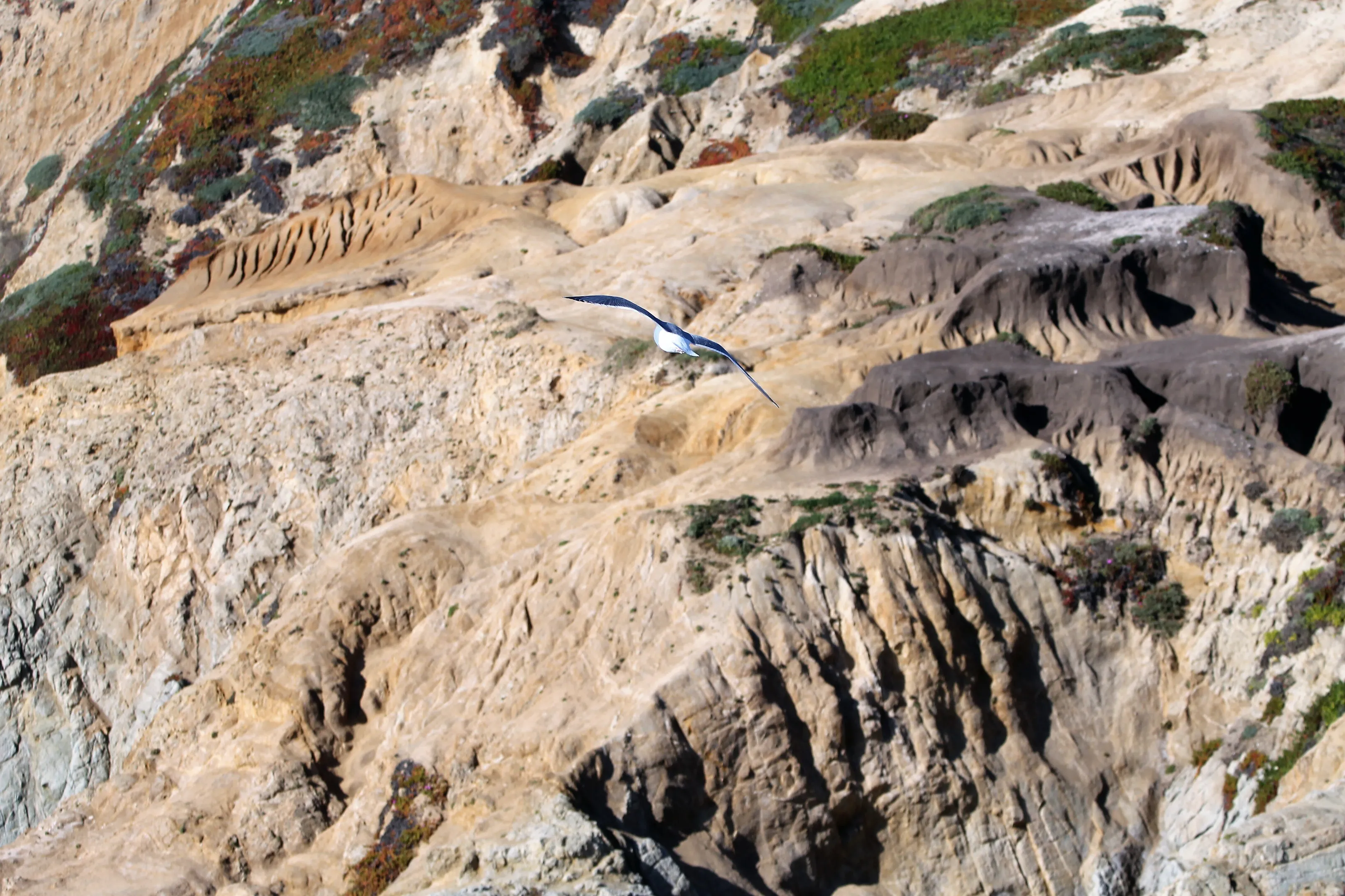 Banner image