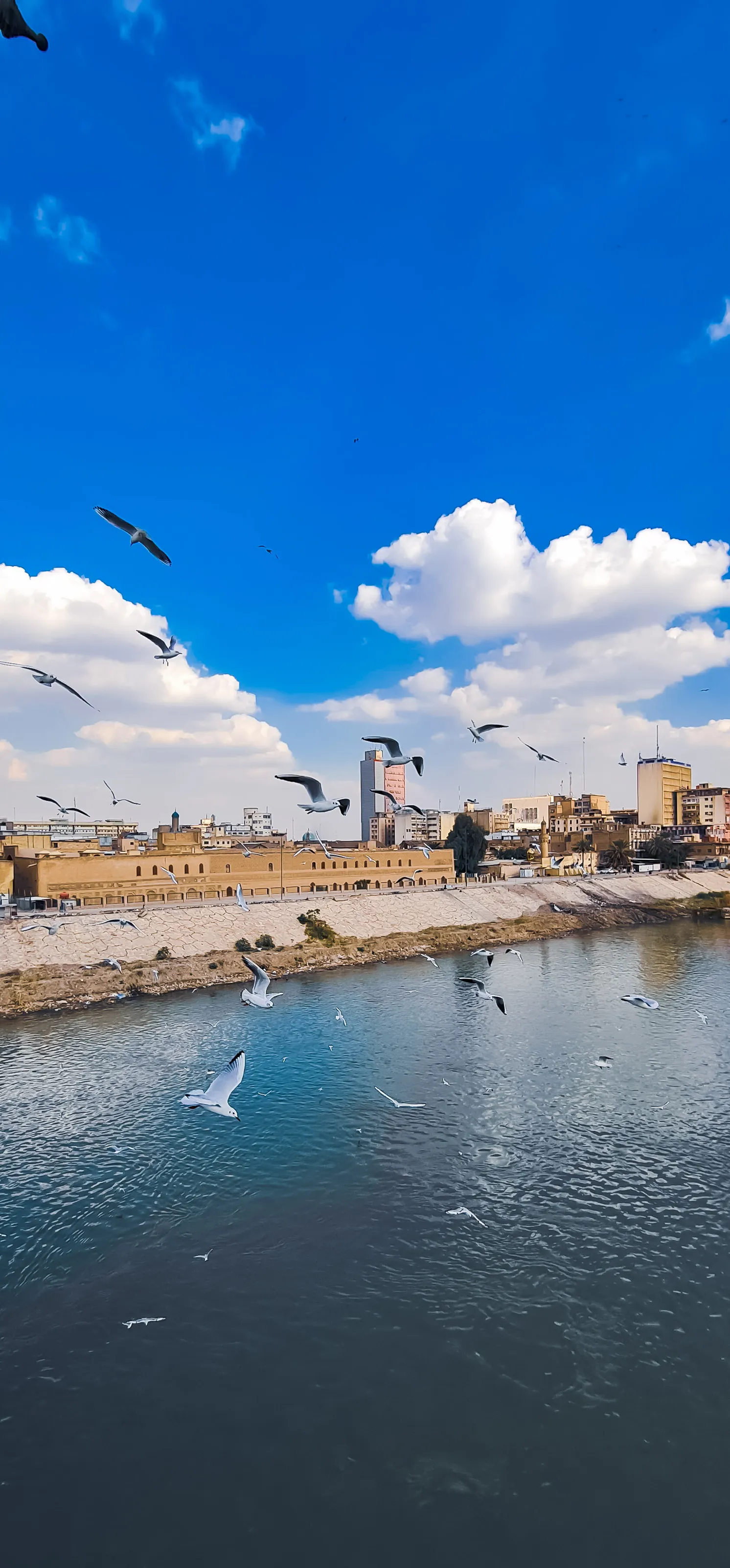Baghdad, Venice of Arabia