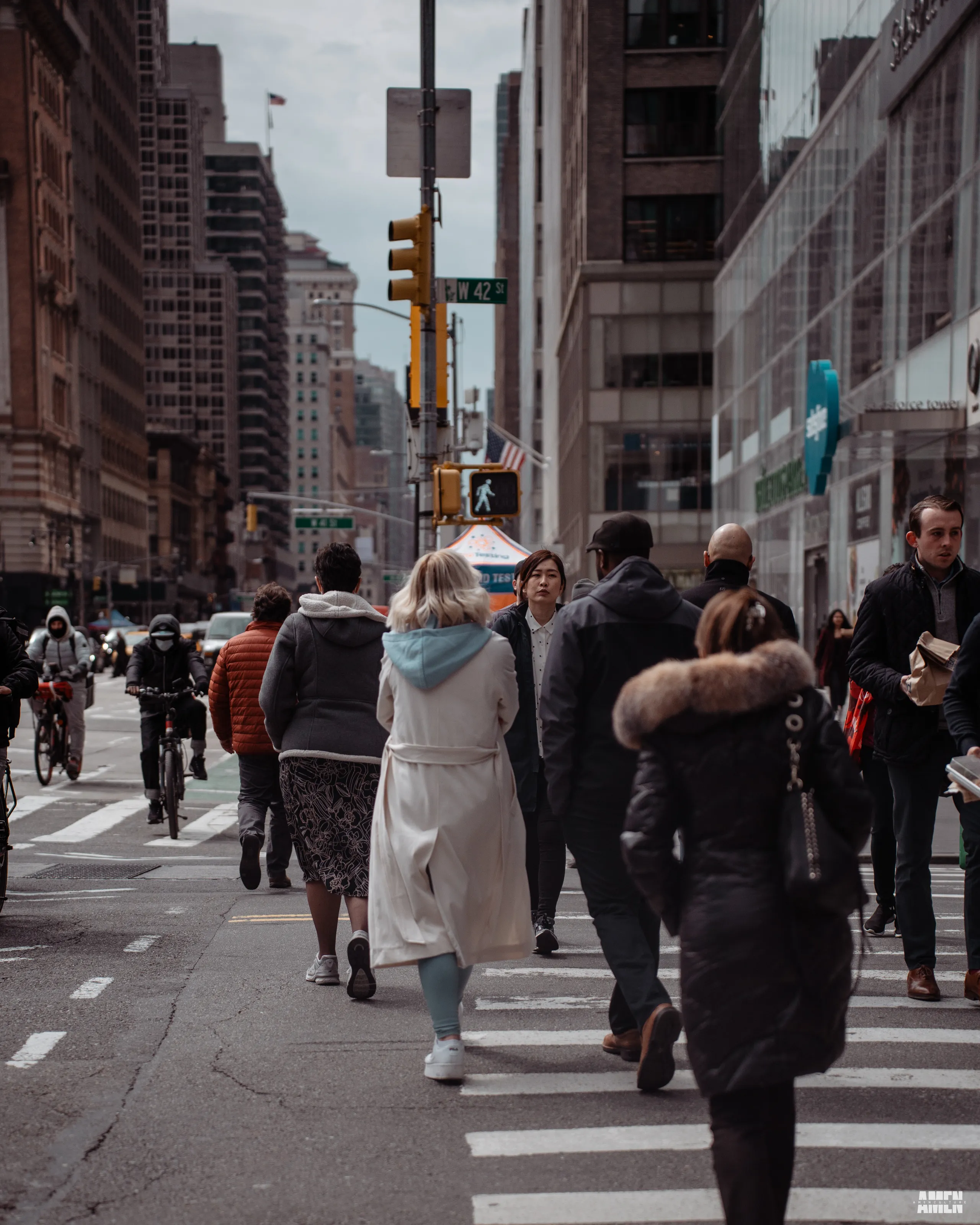 New York City Days