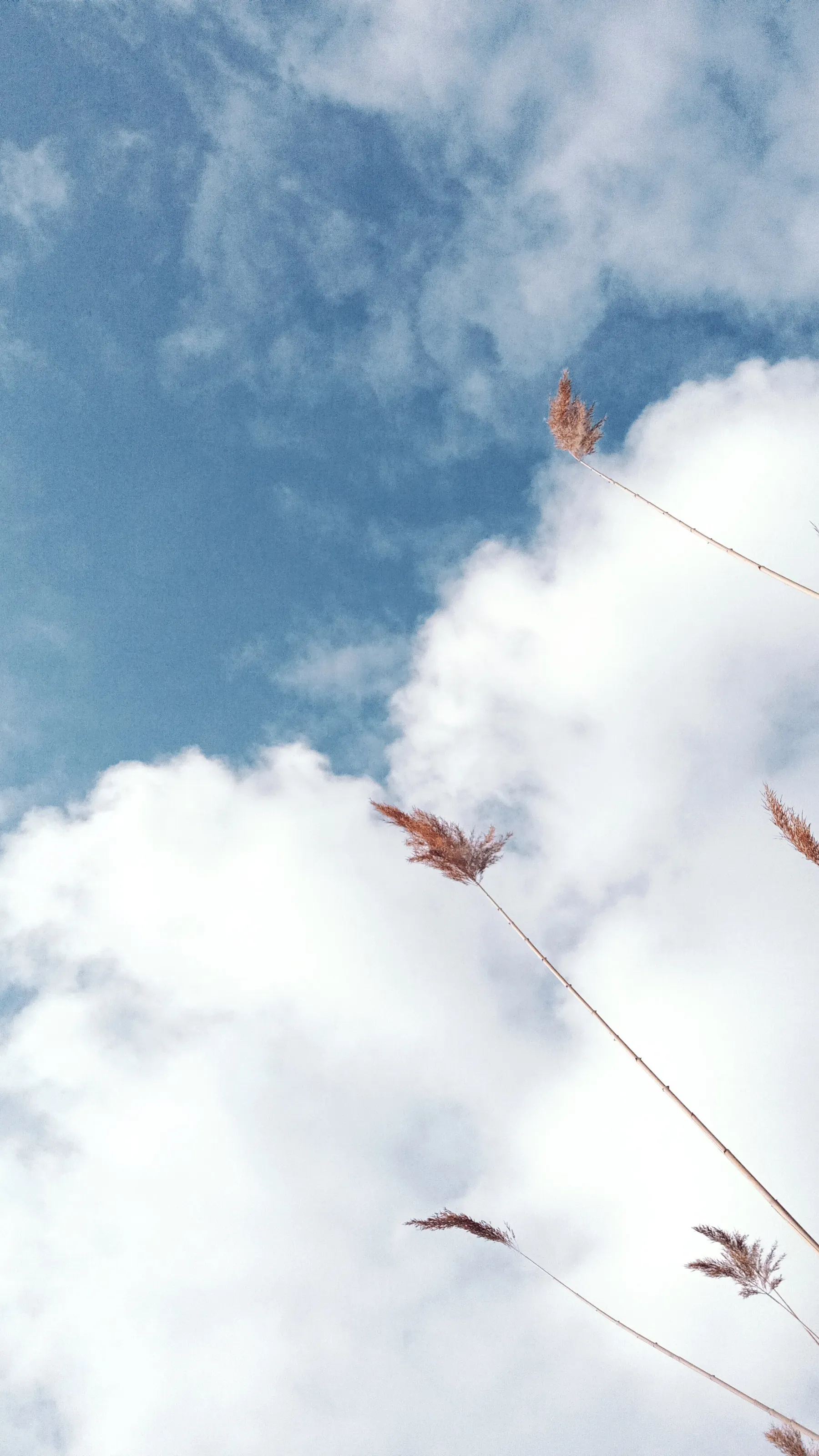 Up in the clouds