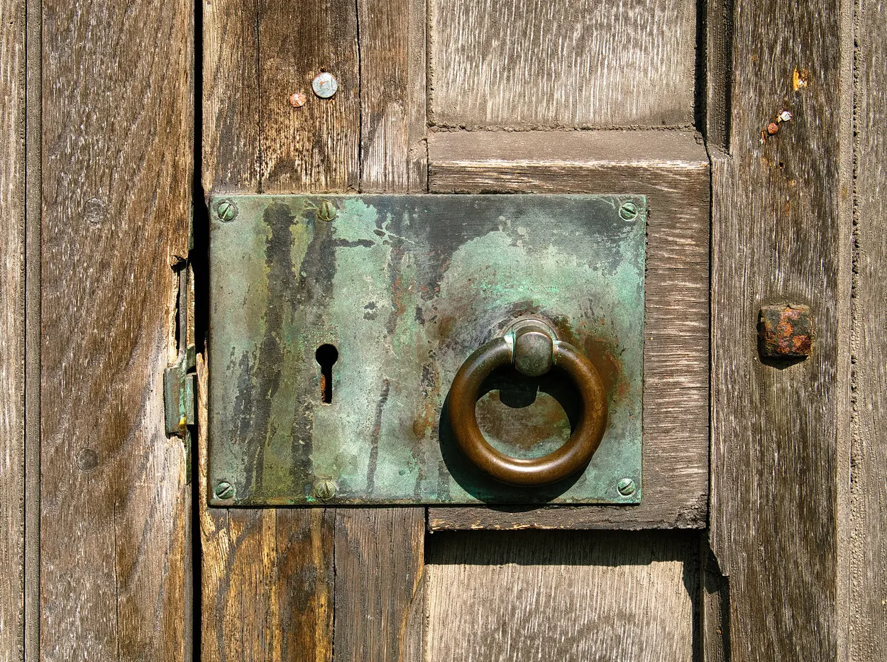 Entry 19908234
