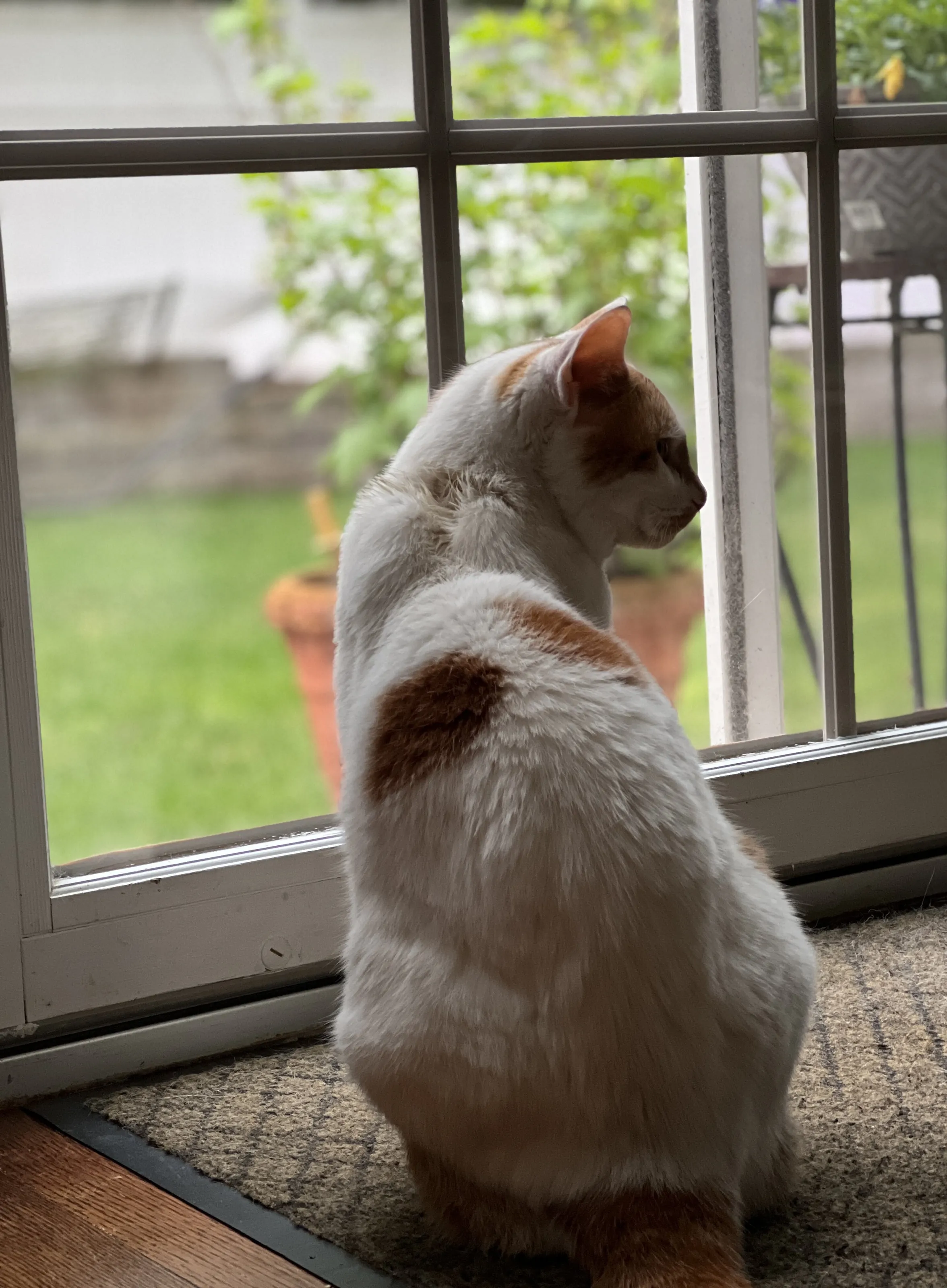 Lost in thought