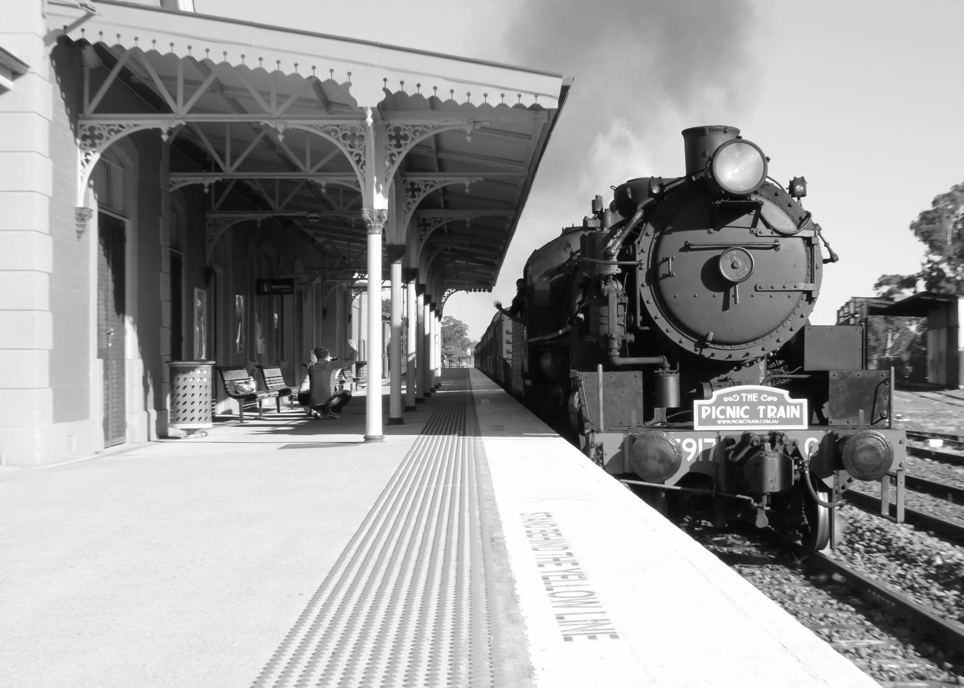 Picnic Train