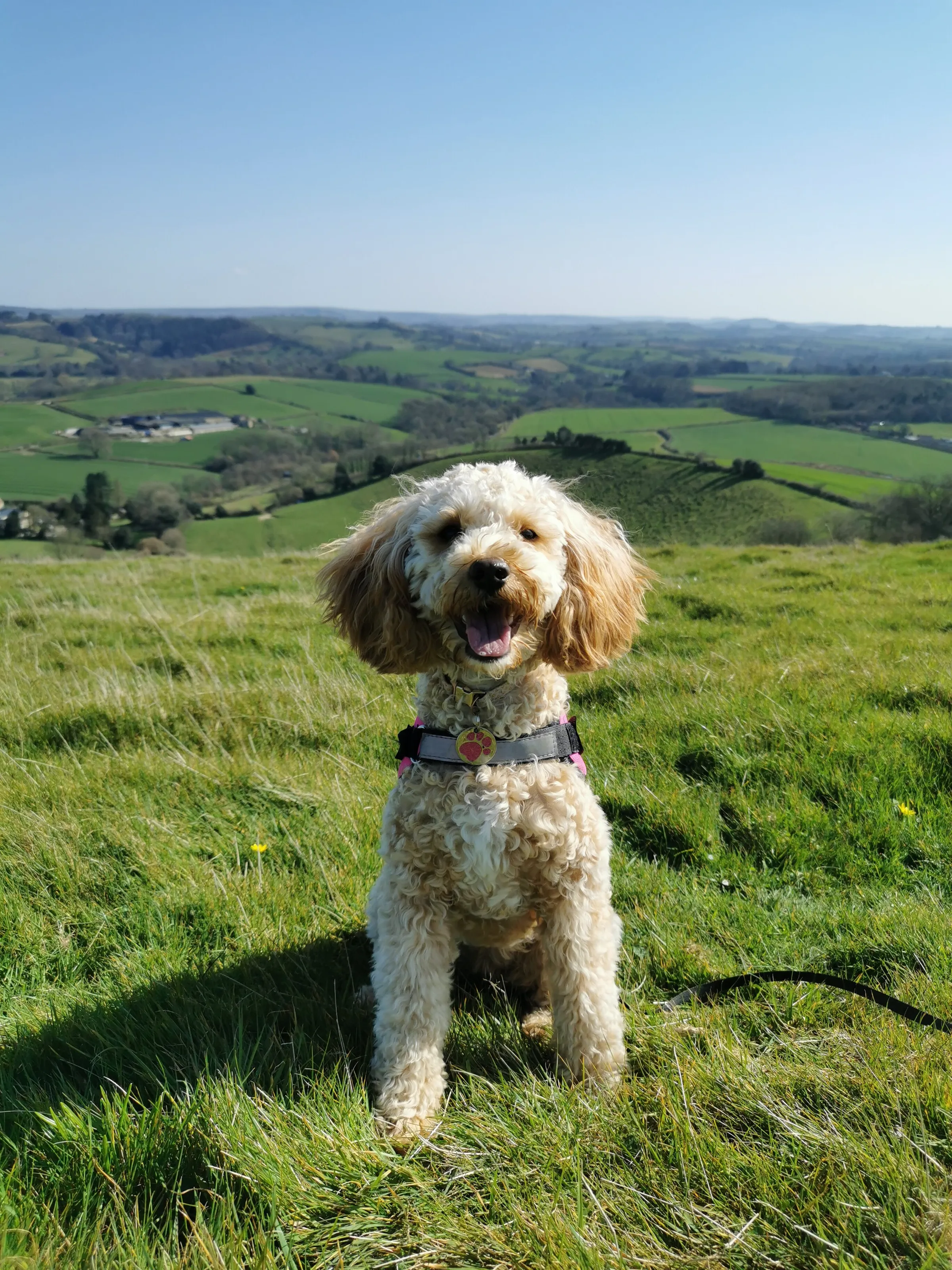 Gerrards Hill