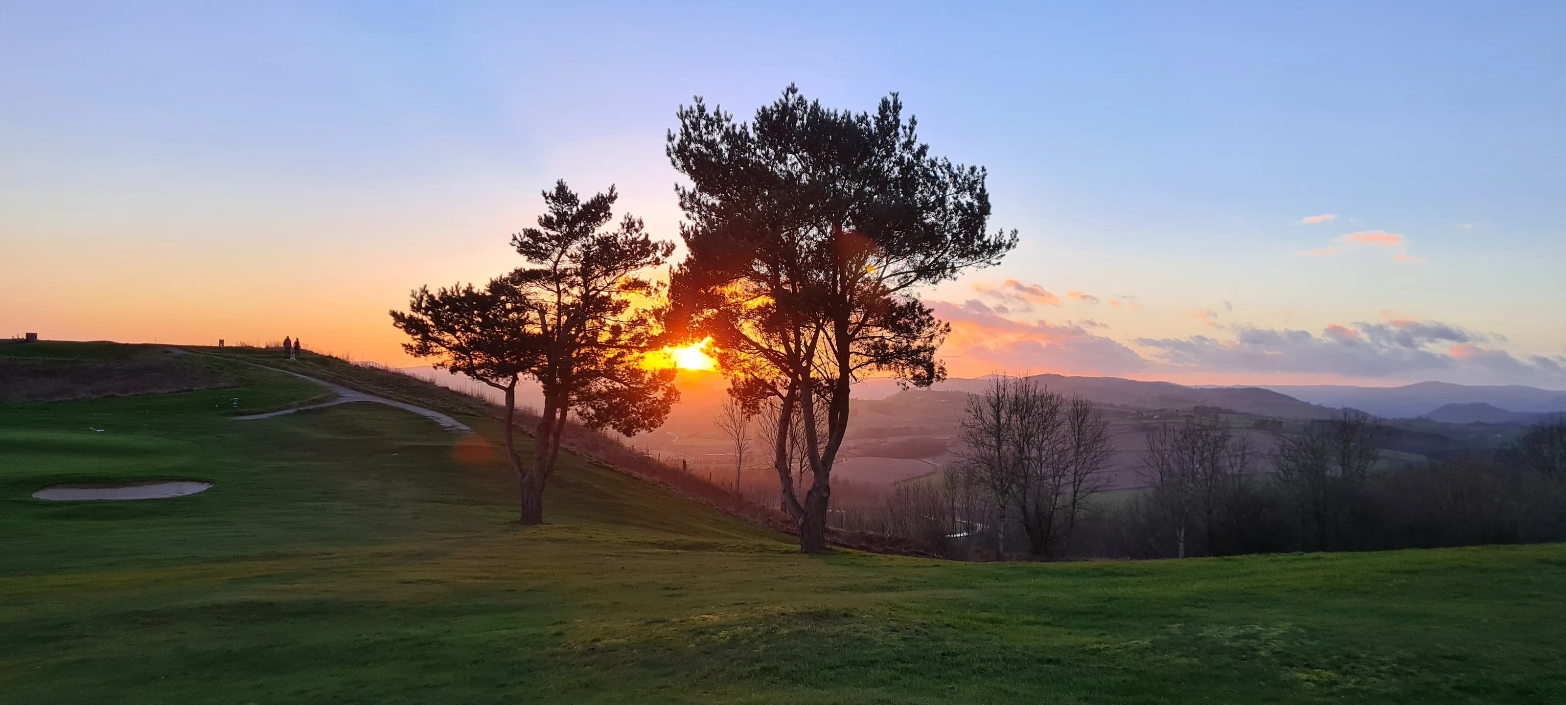 Sunset Lovers; 'Two Lonely Trees'