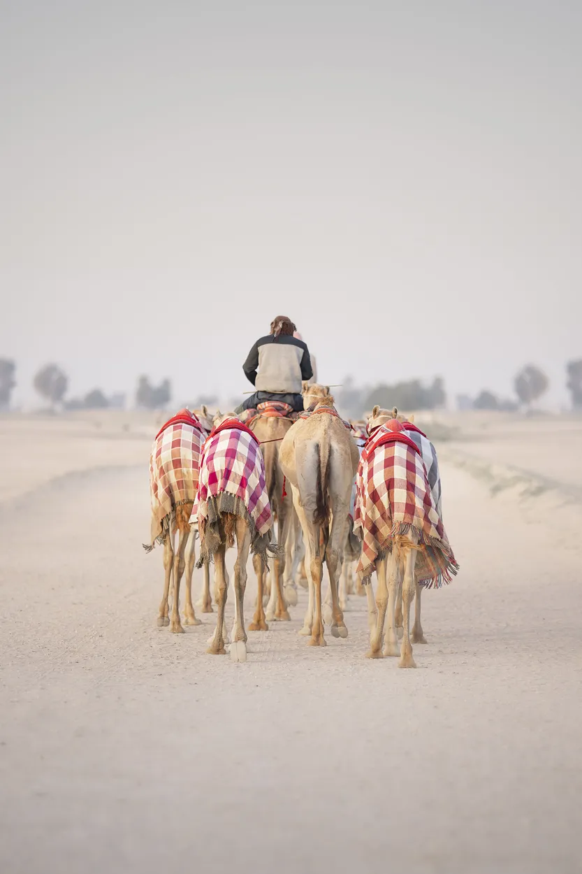 Entry 16300892