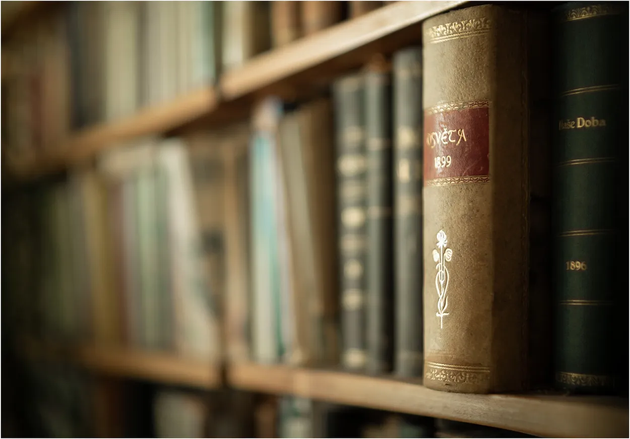 Entry 12627386