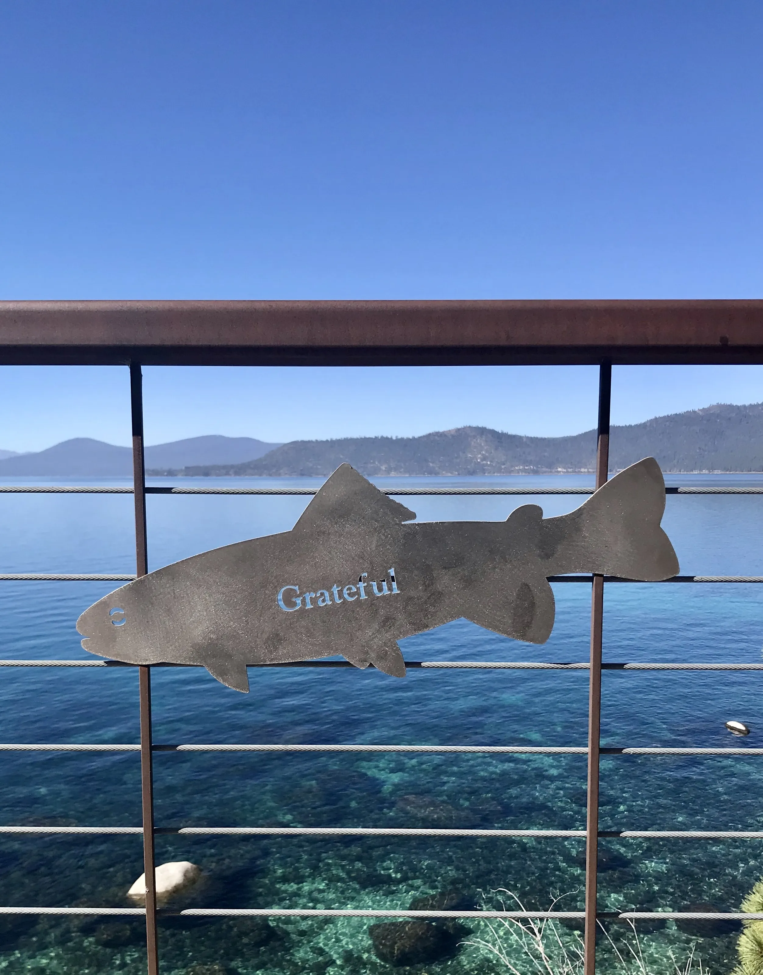 Banner image