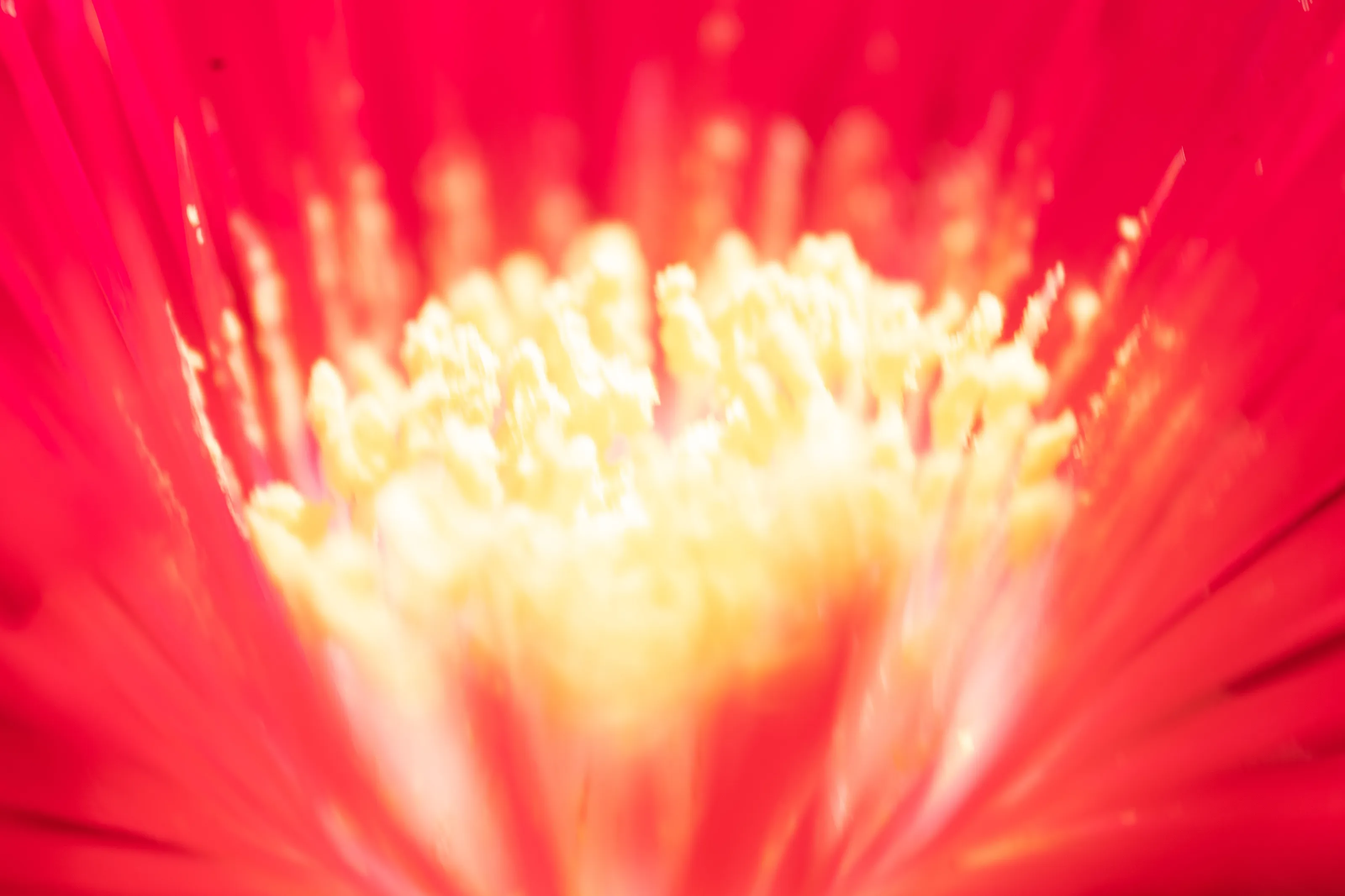 Flower bomb