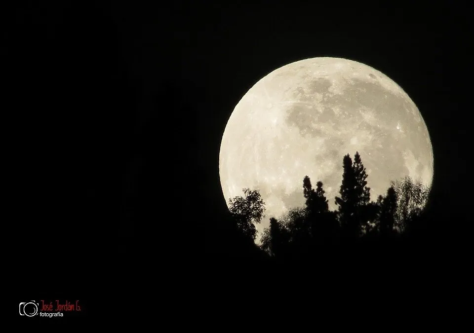 Moon