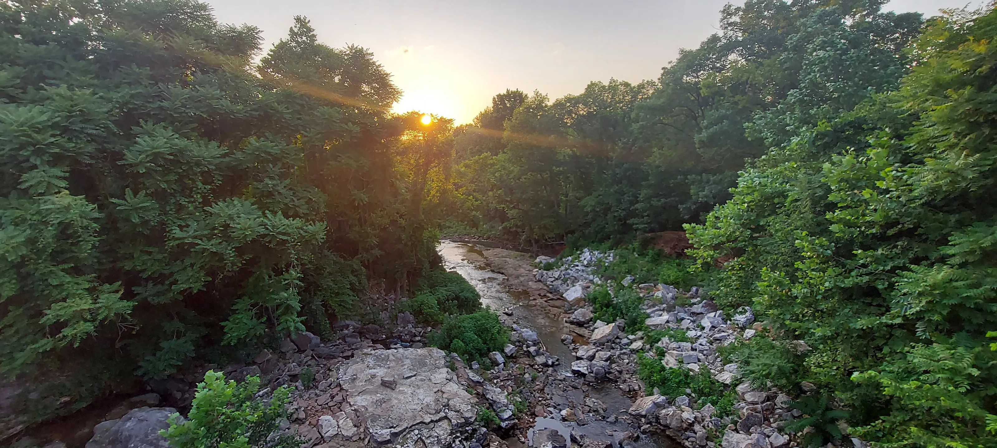 Following the Trails
