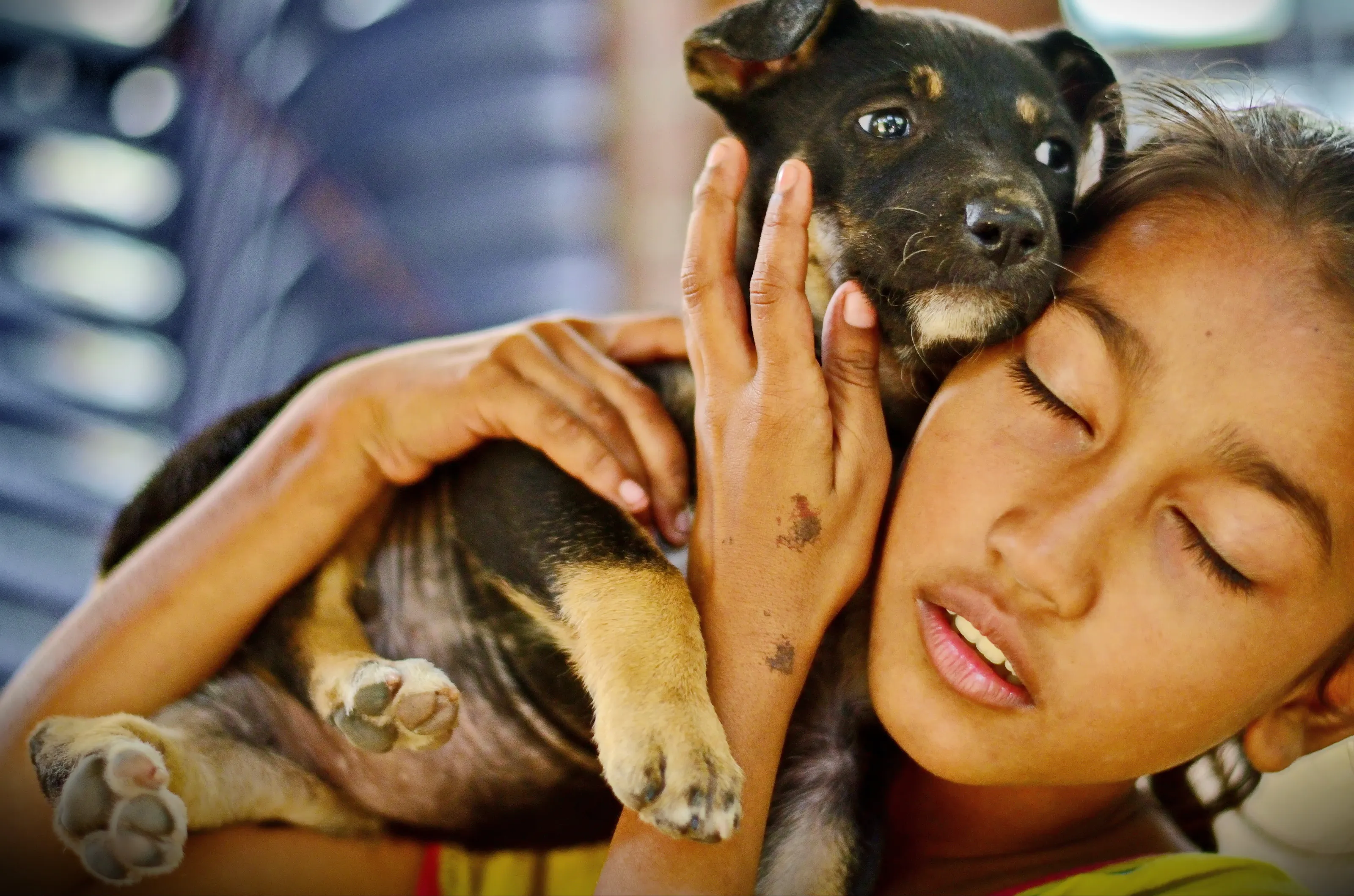 street dog with a street girl