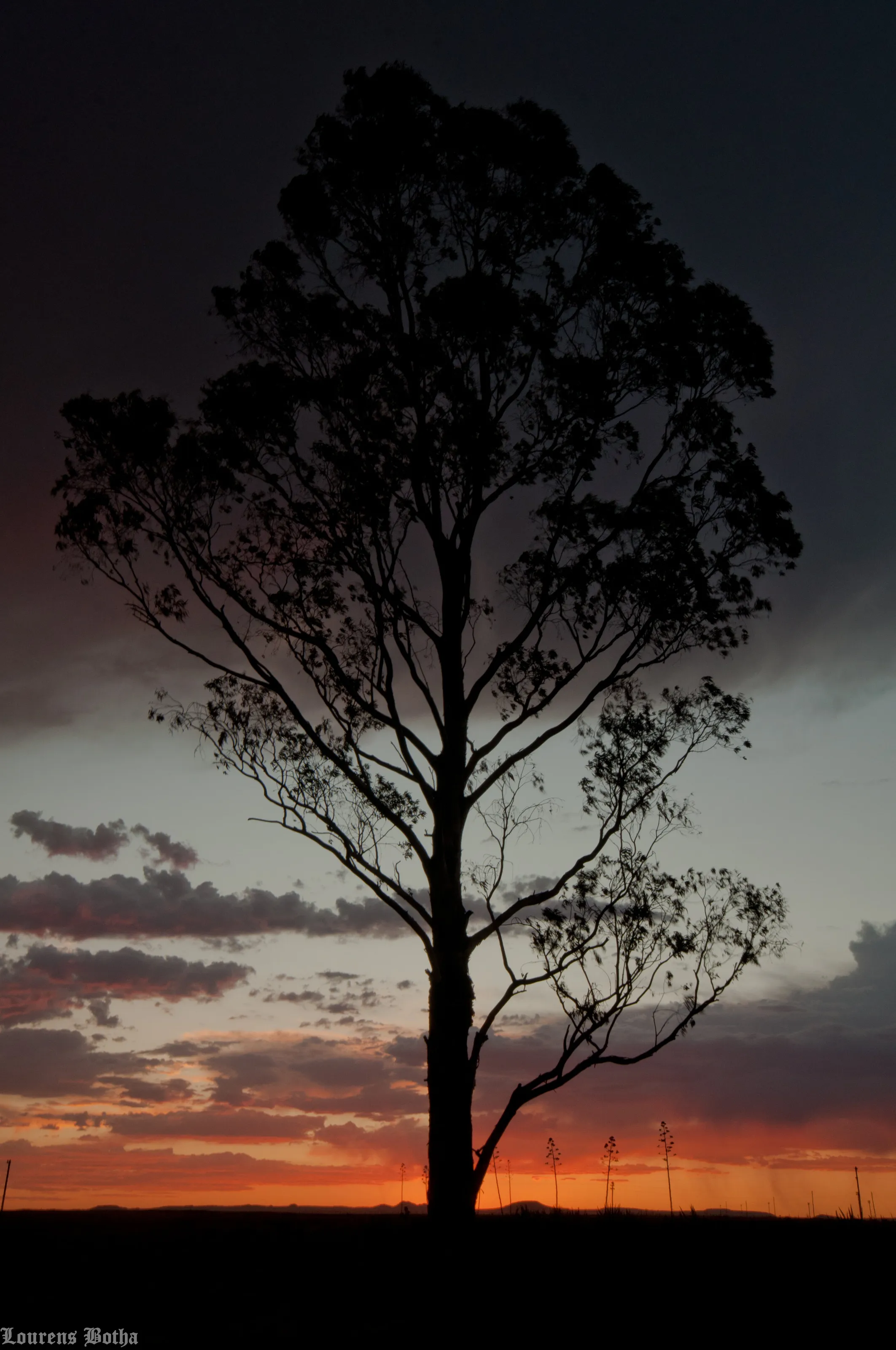 Sunset in the Karoo