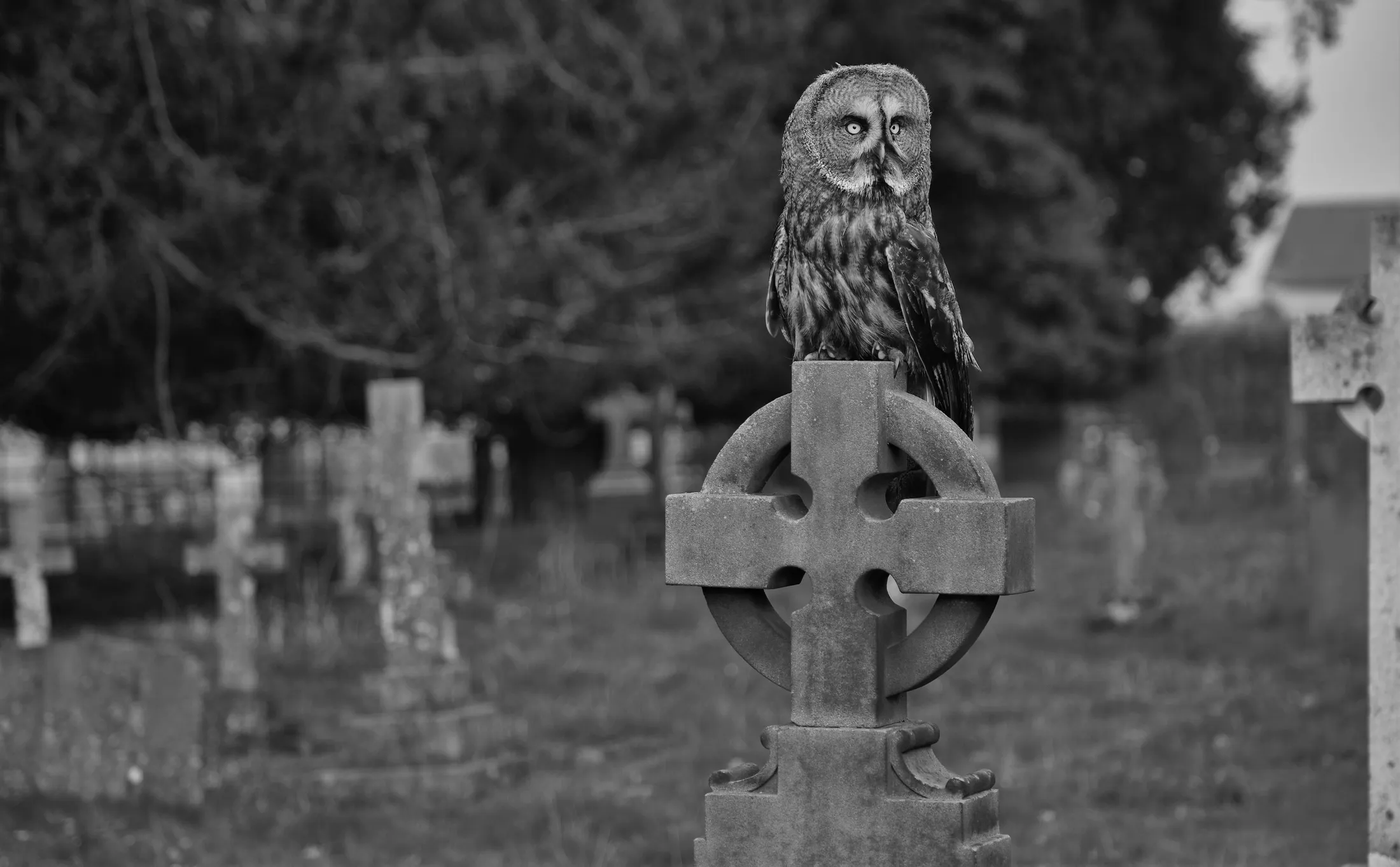 Cemetery Perlethorpe