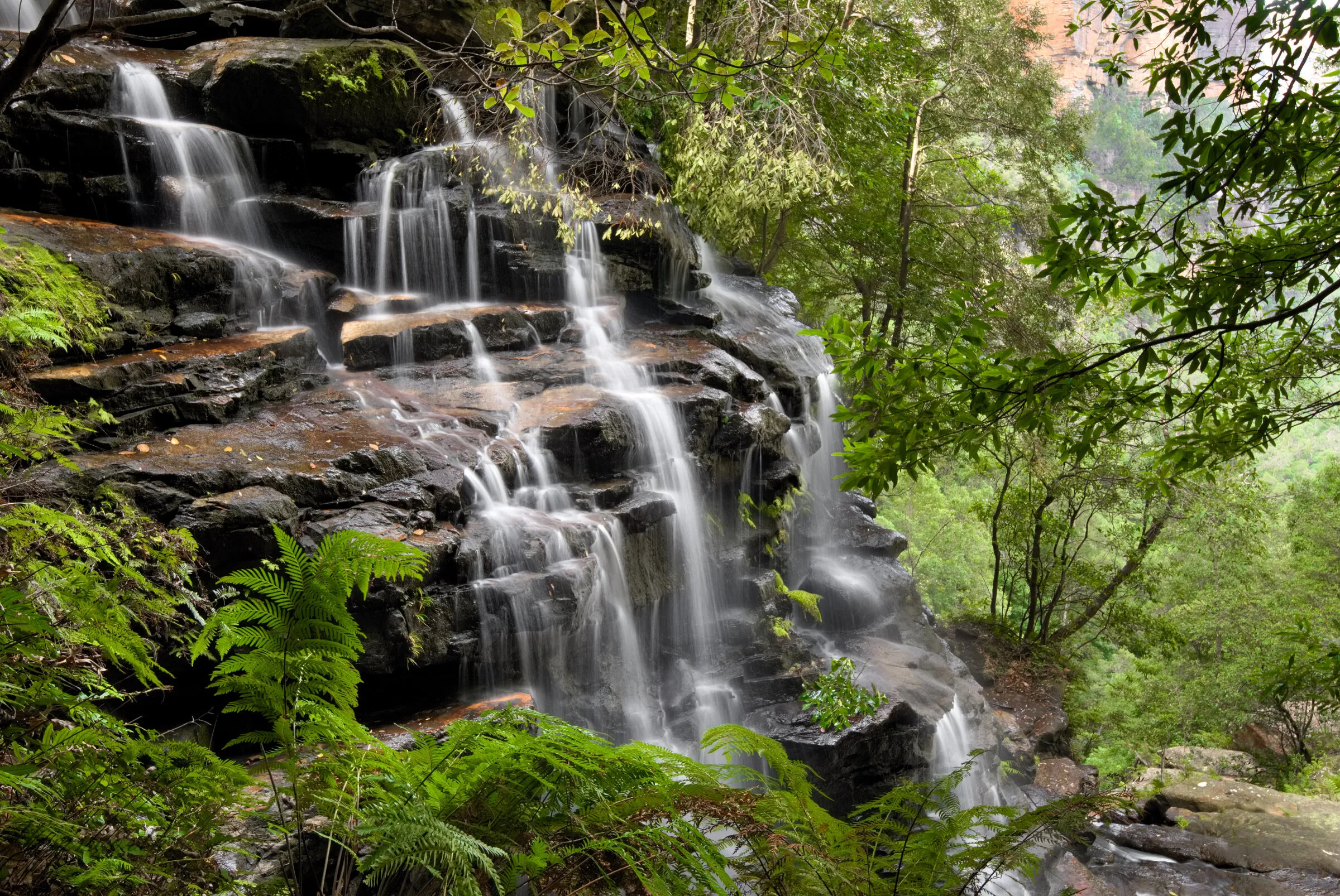 Sylvia Falls, Valley of the Waters, NSW