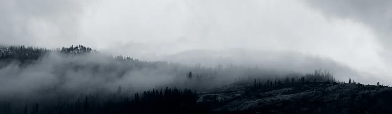 Entry 12669641