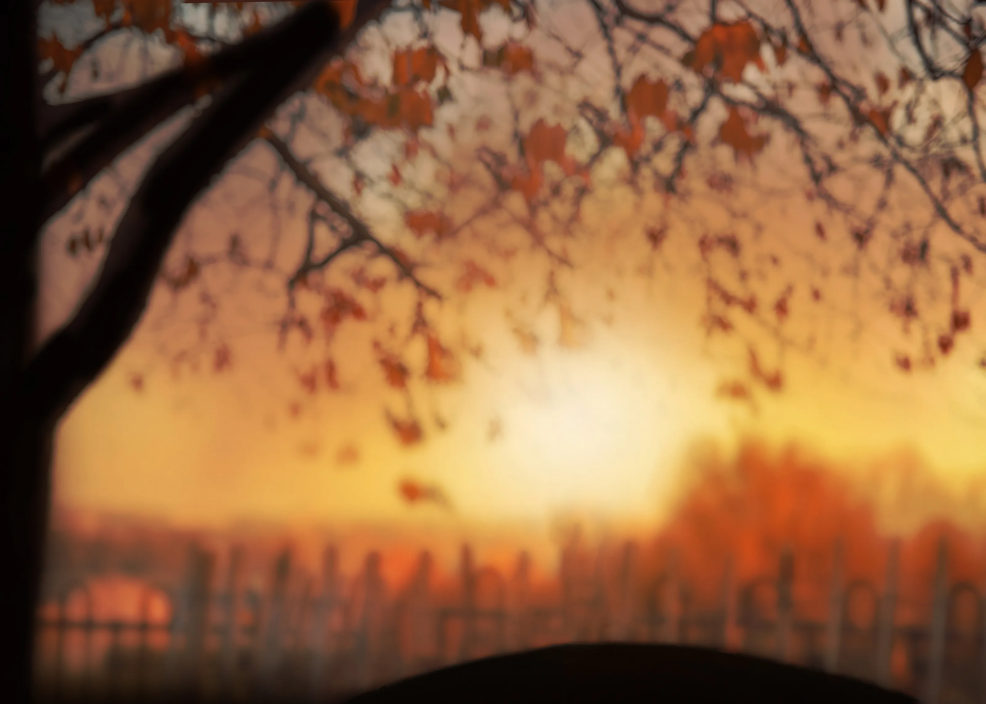 Autumn sunset