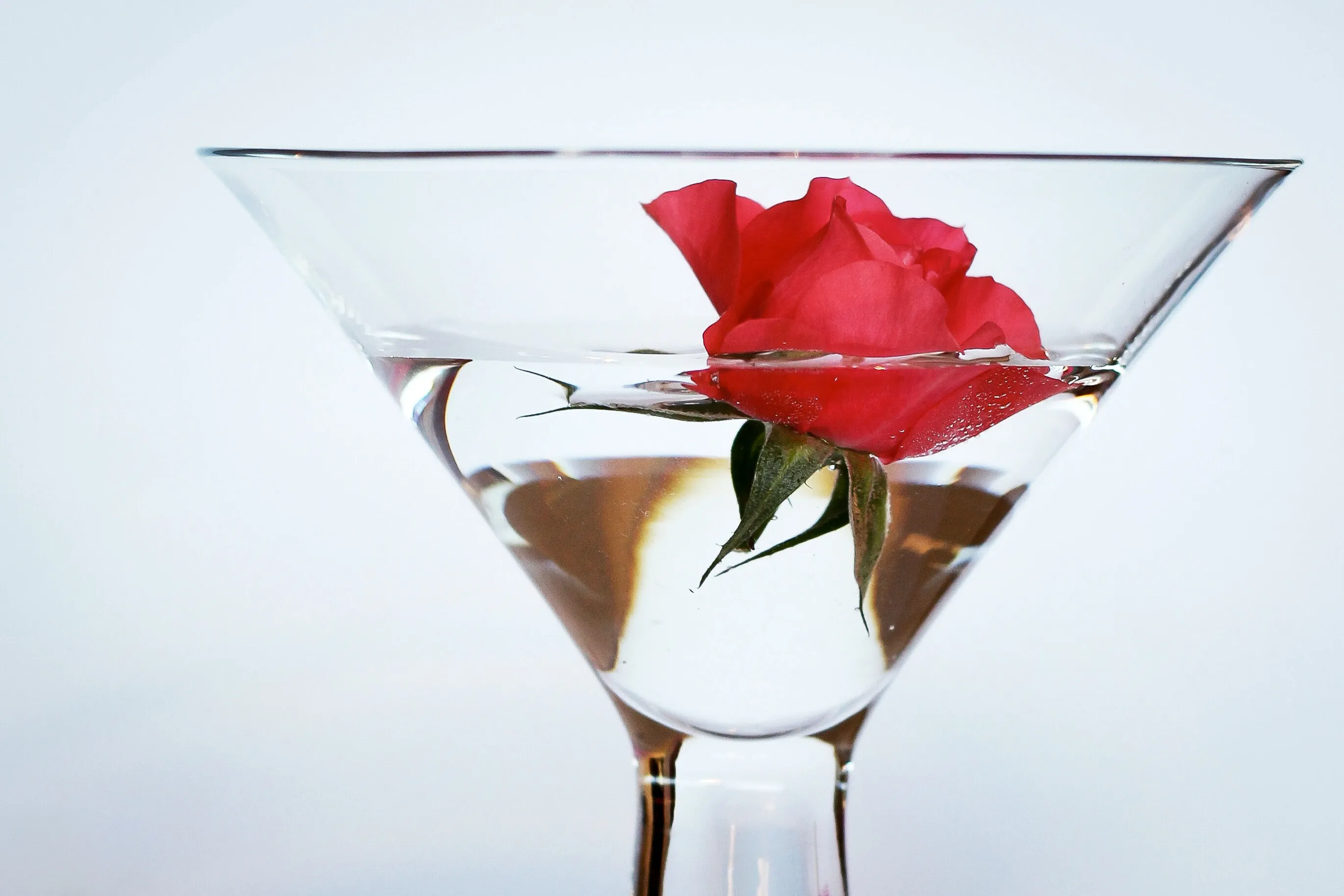 Red Rose & Martini Glass