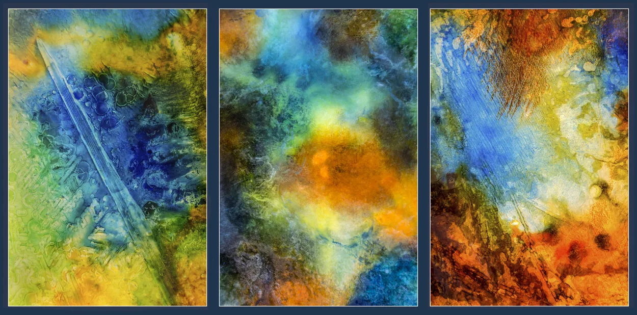 Entry 12679199