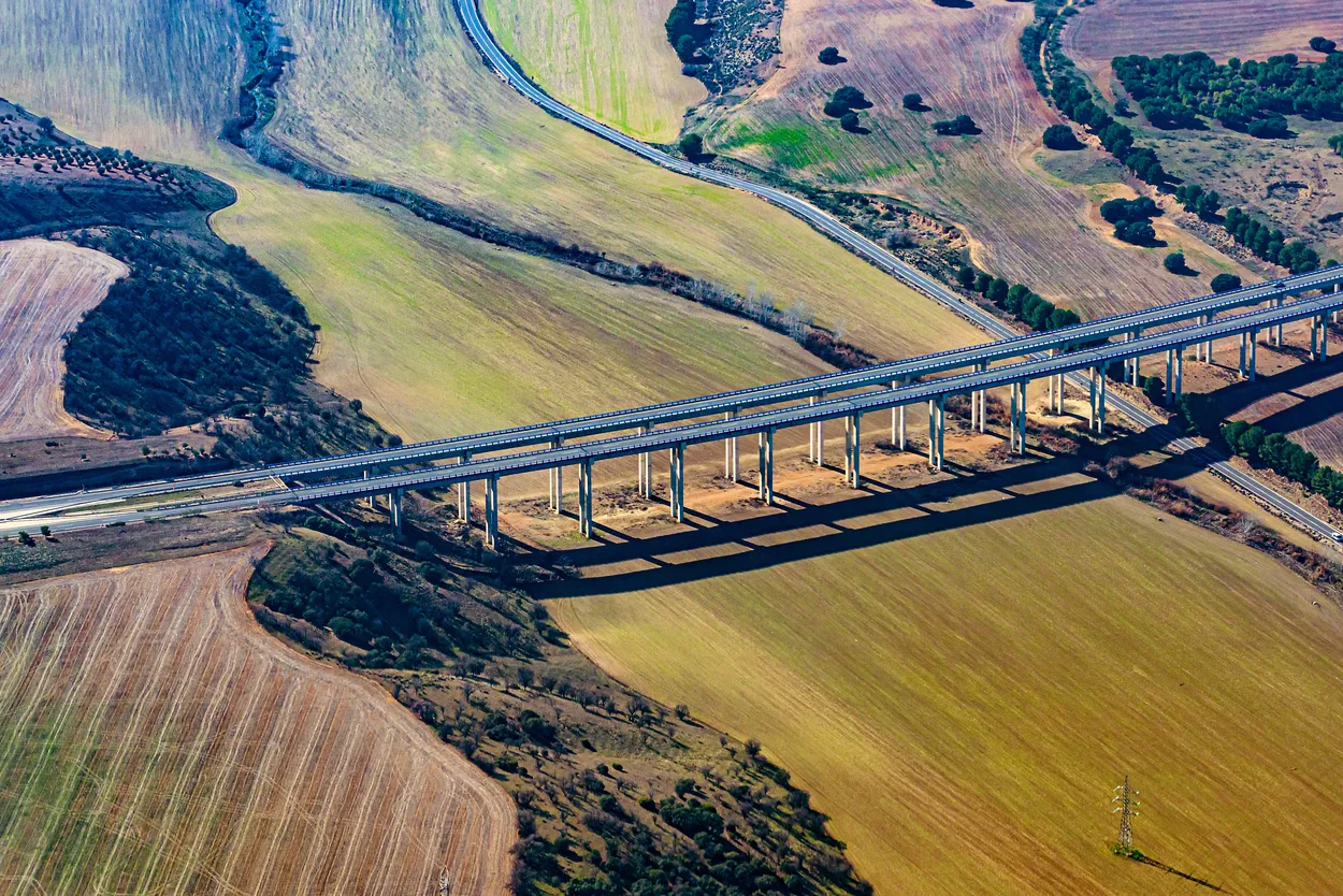 Entry 14203217