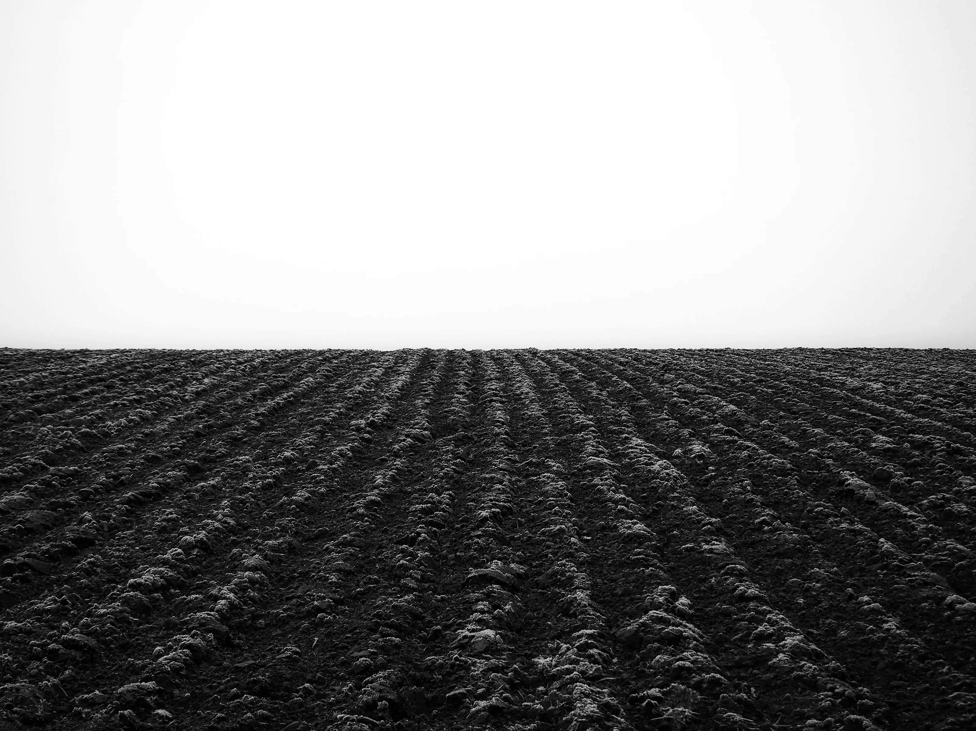 Frozen field