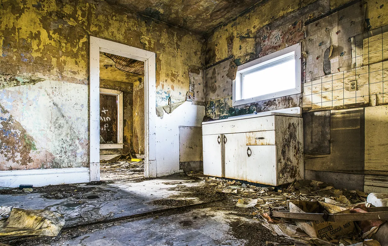 Entry 21192626
