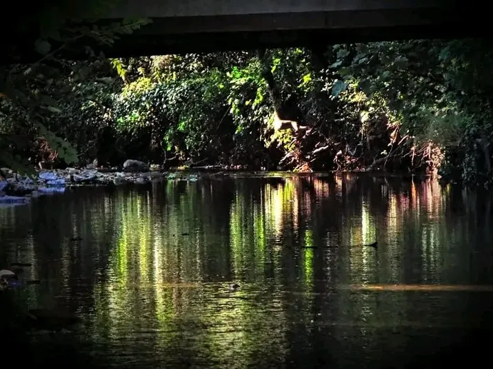 Weeping river