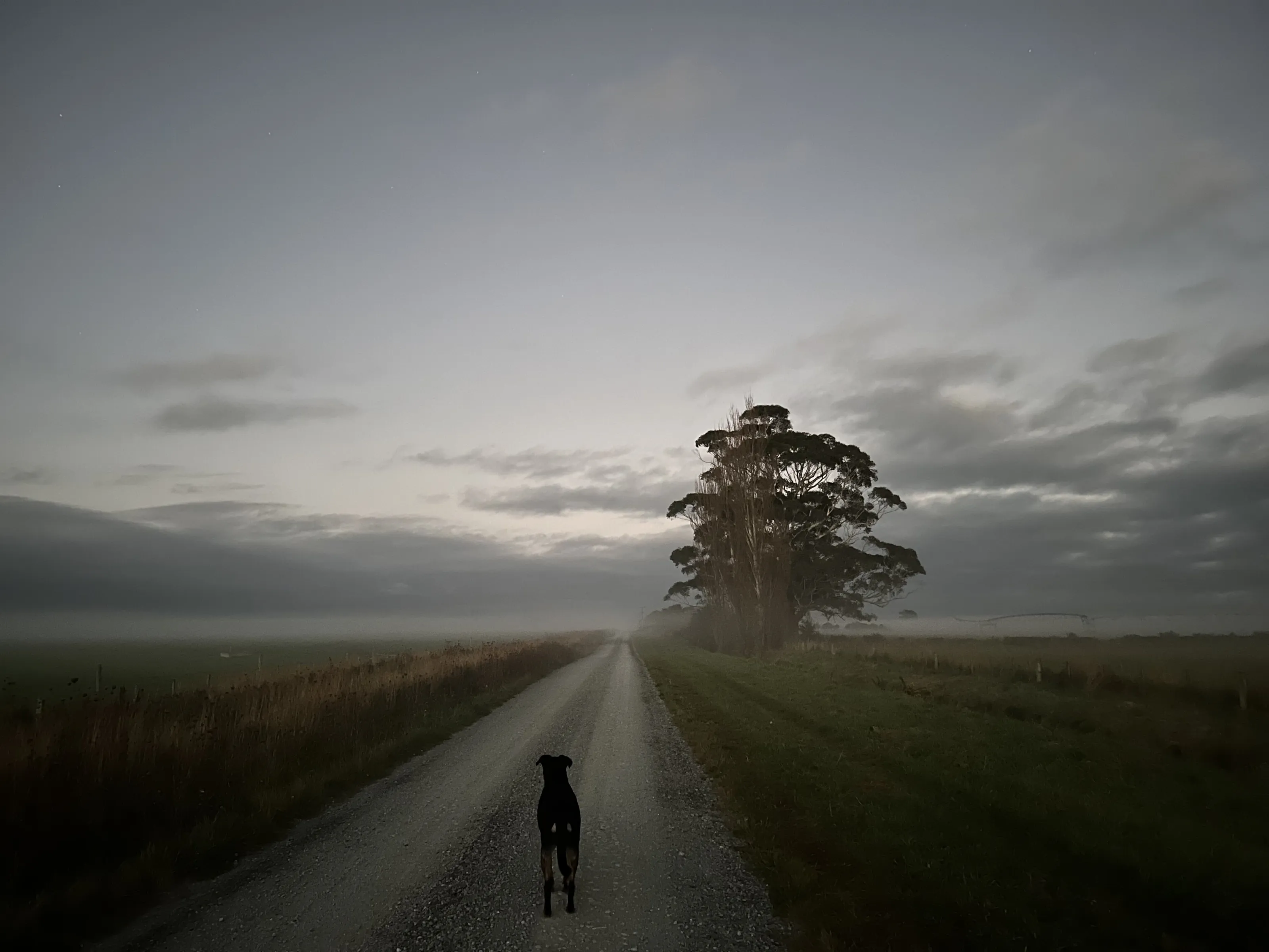 Early walks