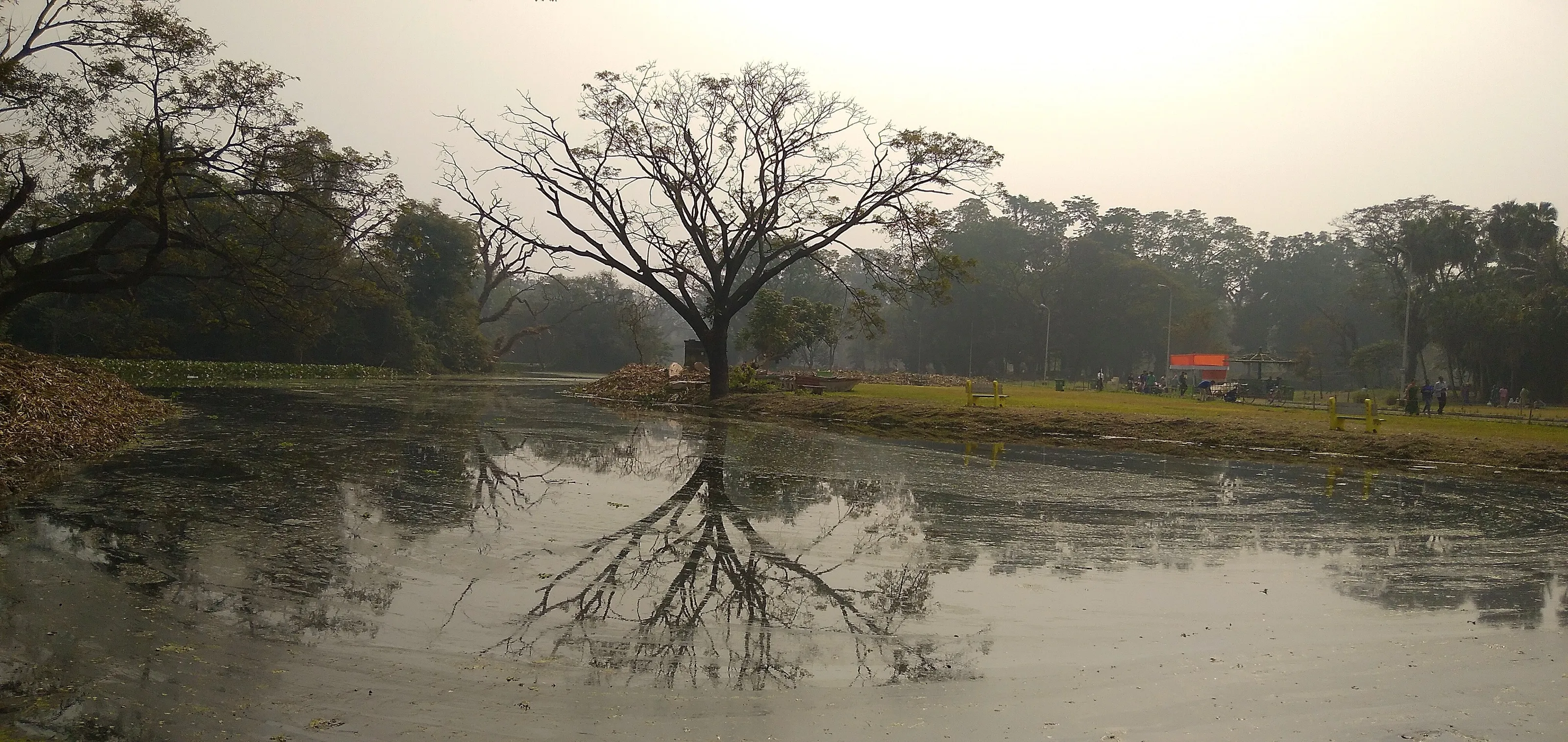 প্রতিবিম্ব(Reflection)
