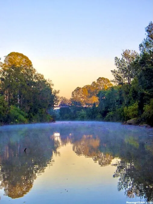 Reflections in the misty morning