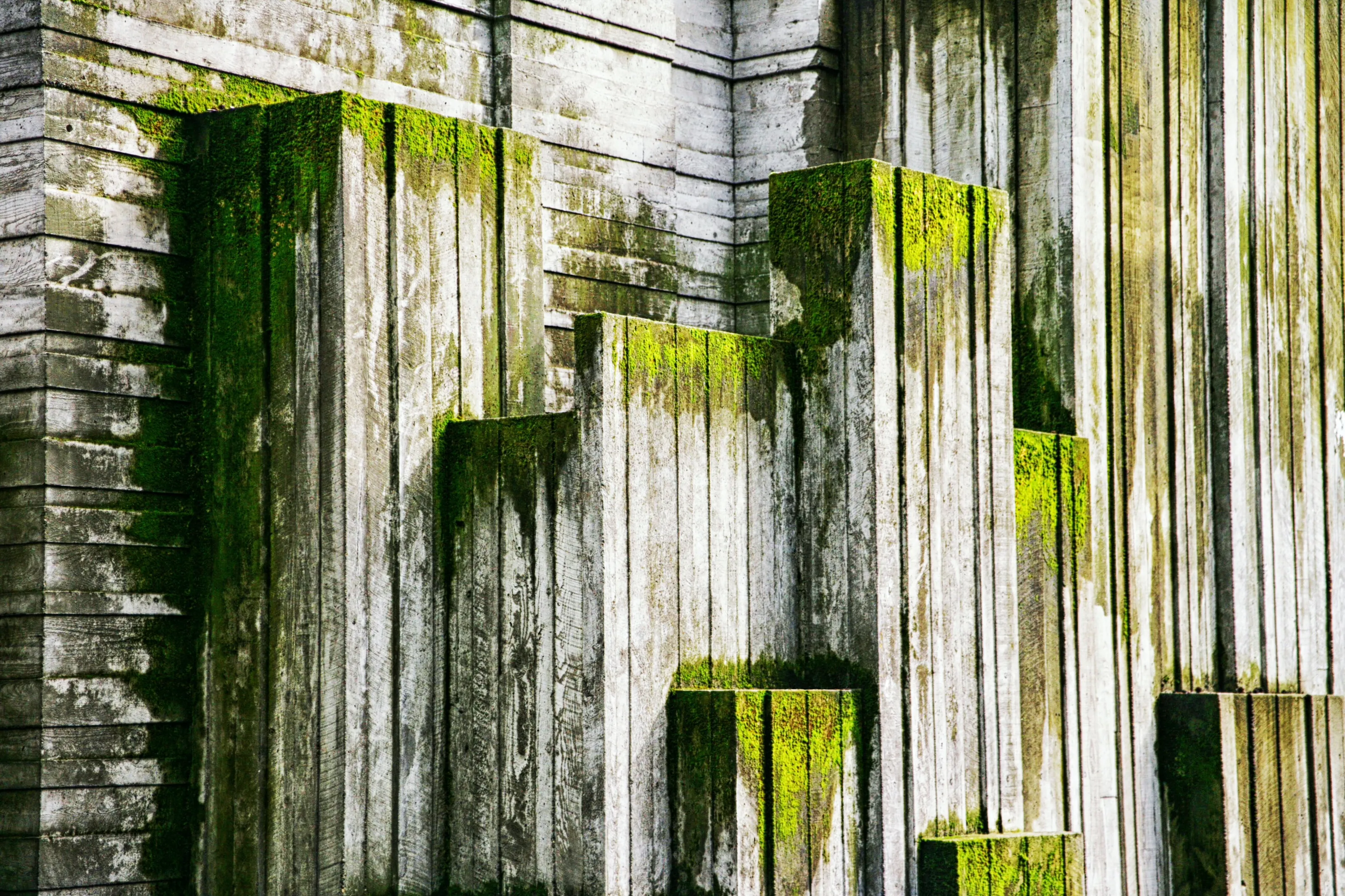 Concrete Garden