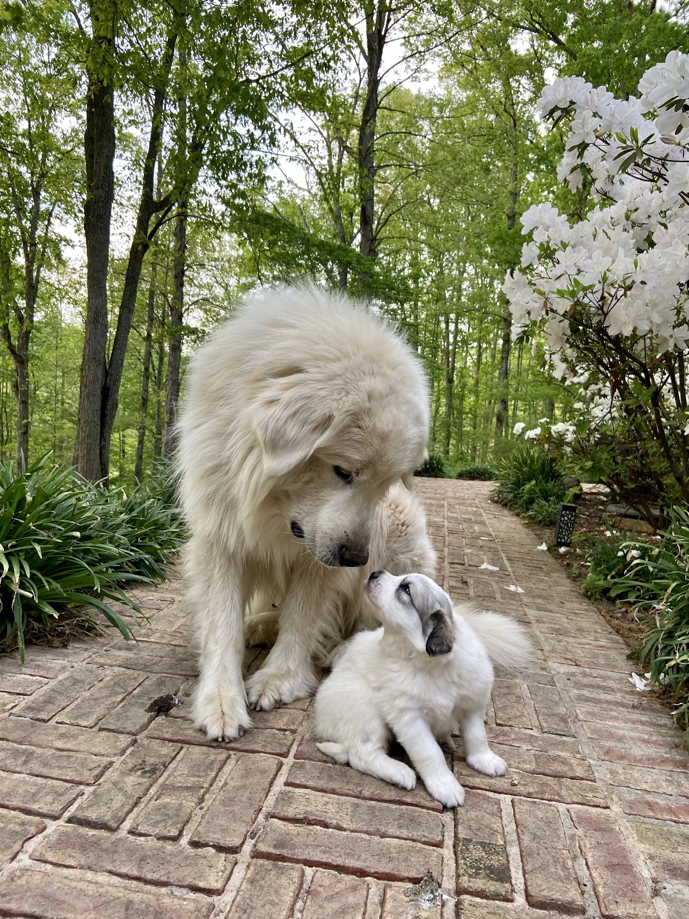 Fatherhood
