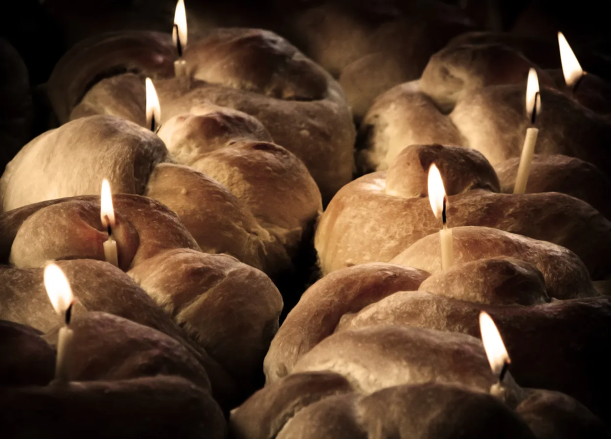 Entry 668244