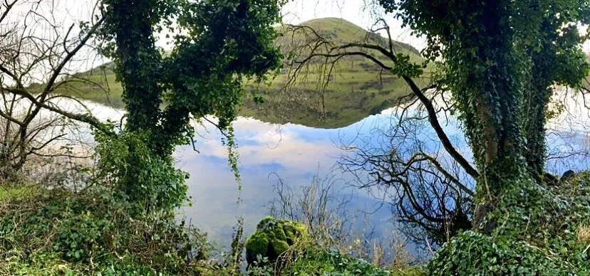 Reflections