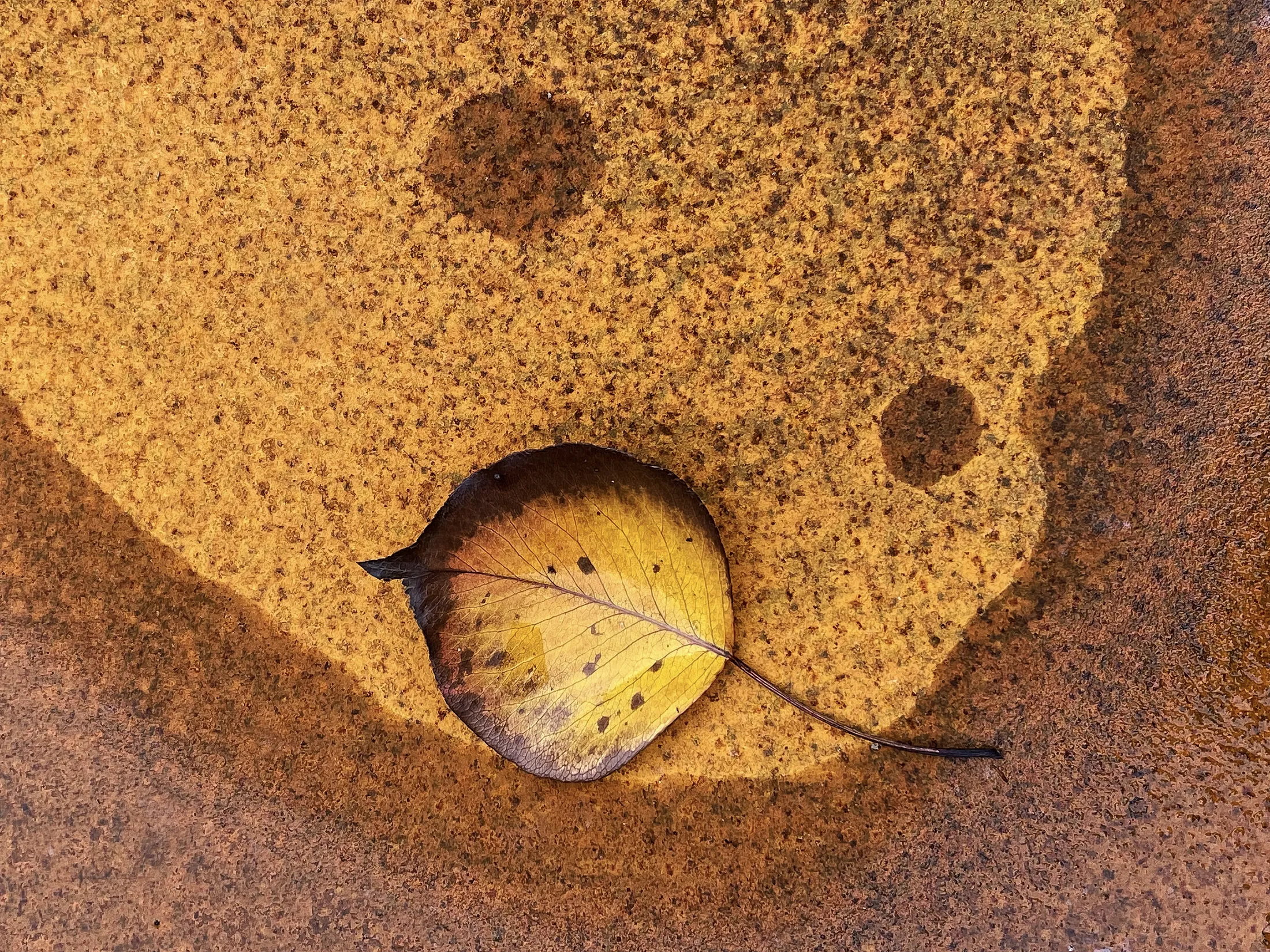 Autumn rust