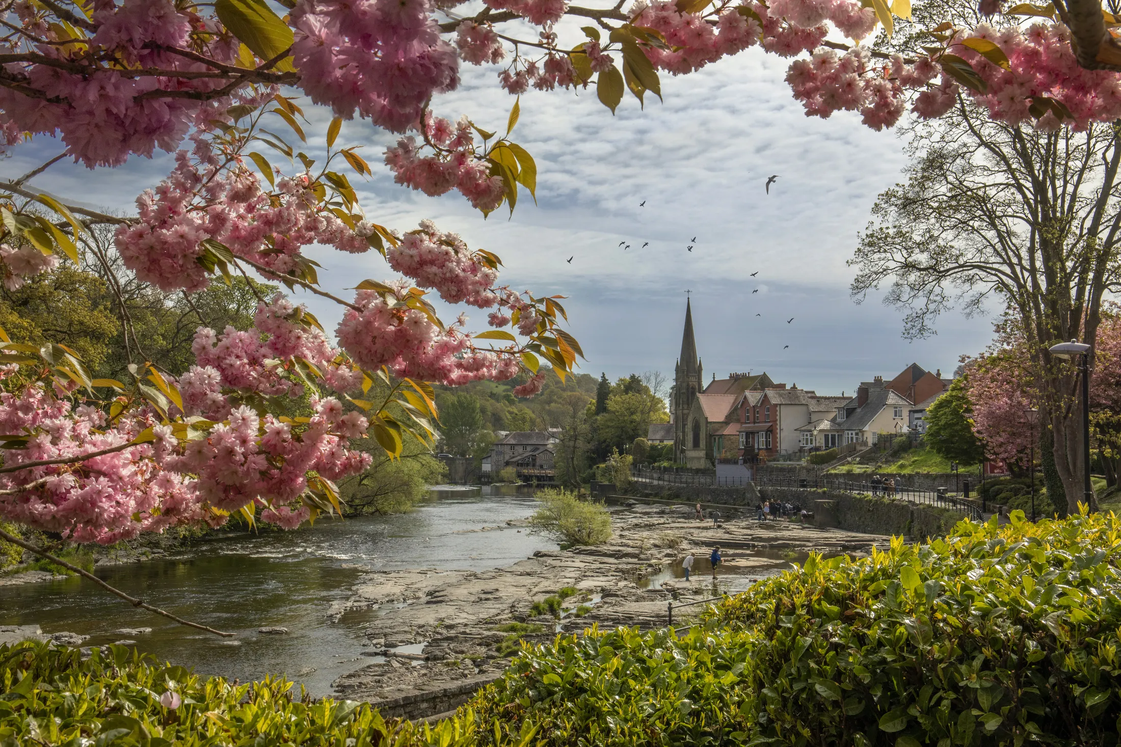 the river Dee at Llangollen
