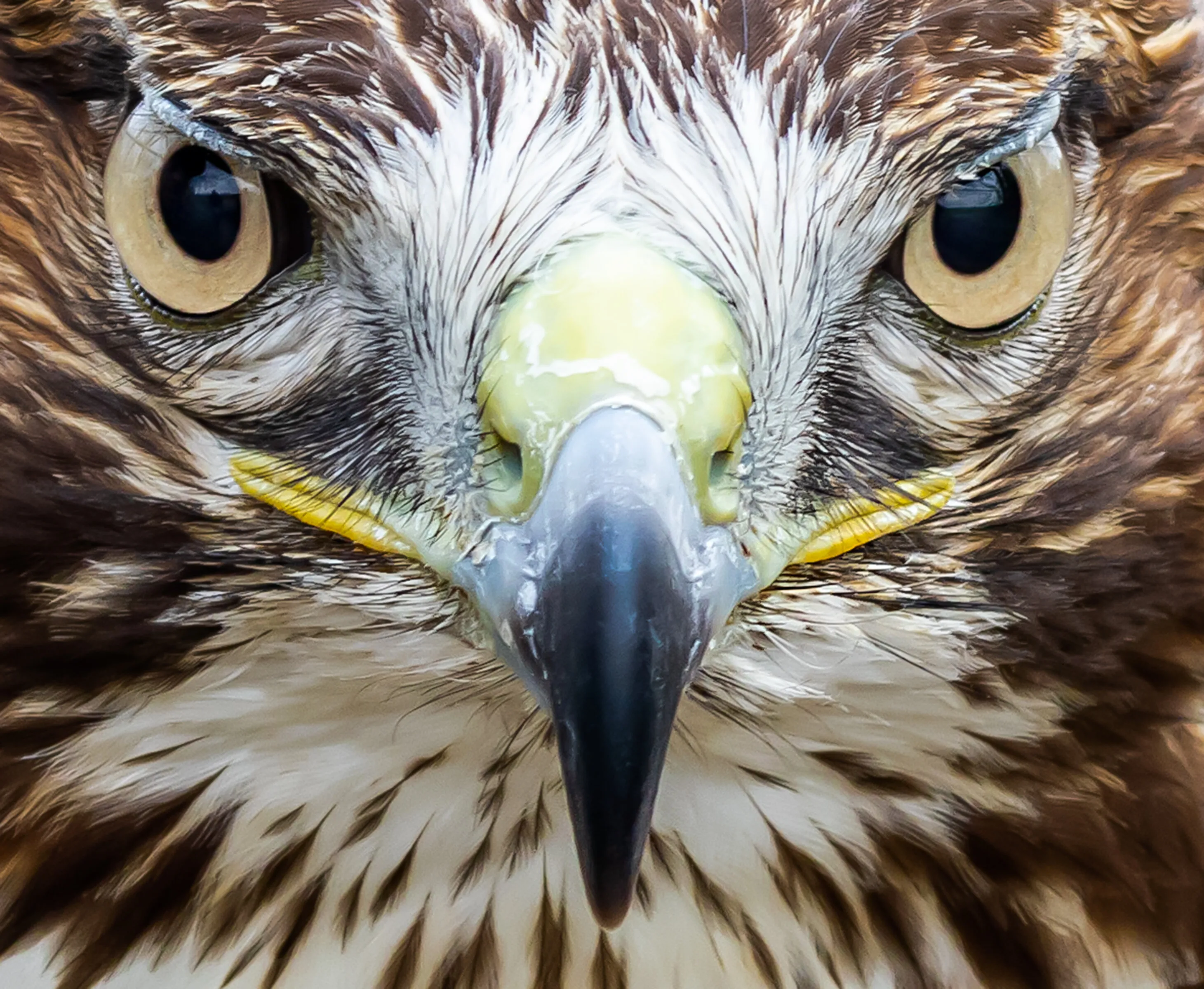 Looking into your soul