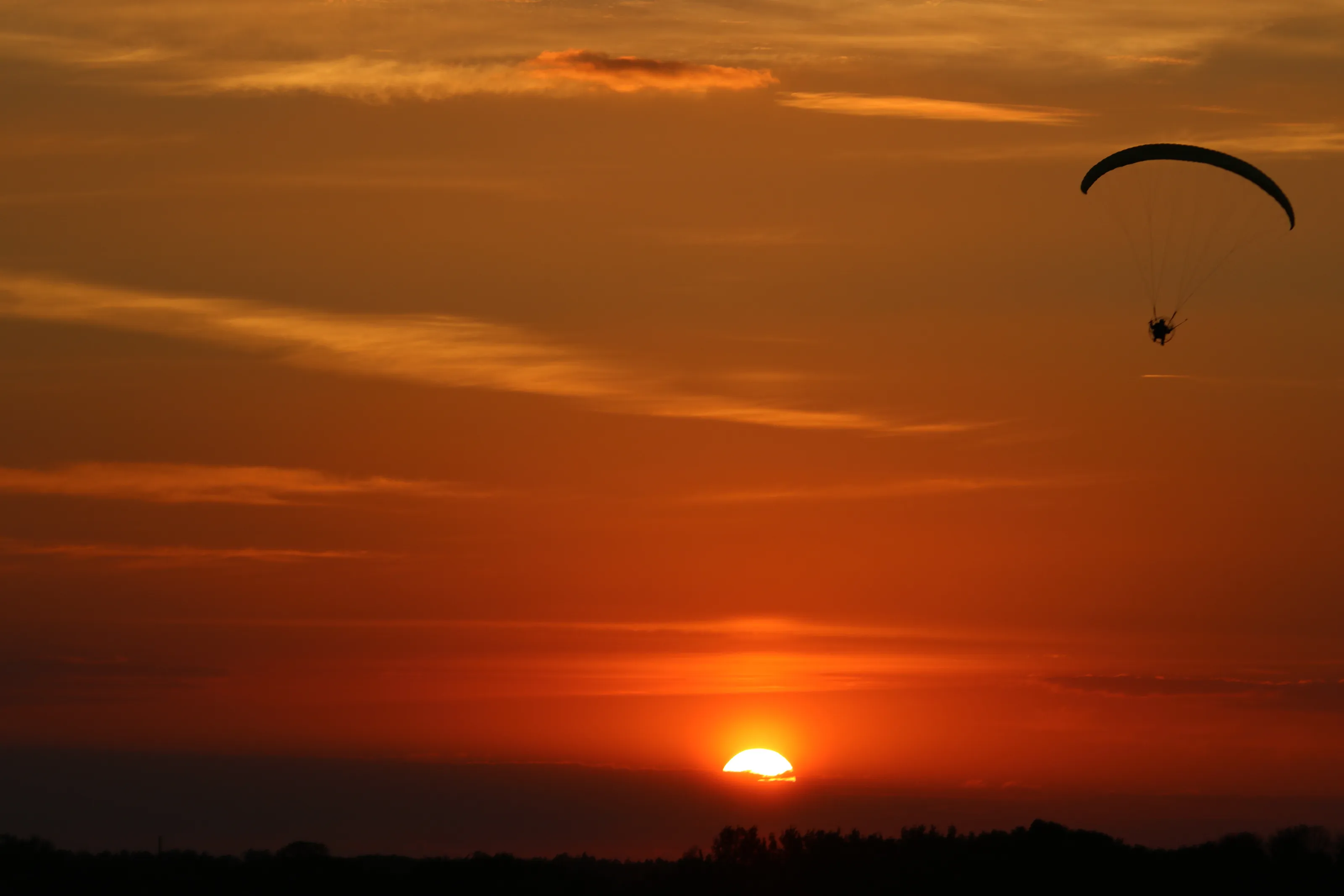 Sun and wings