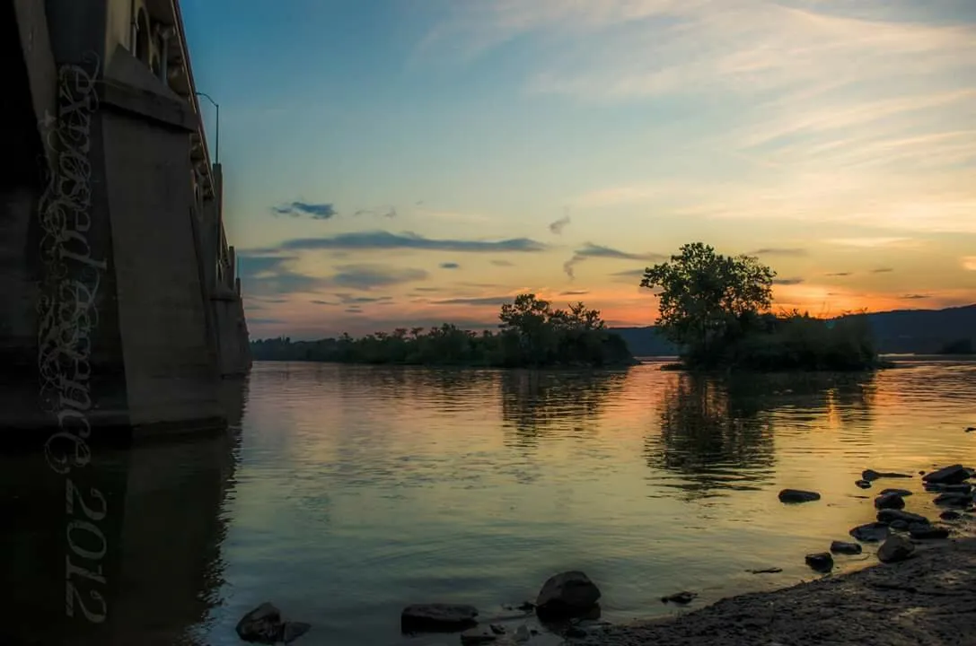 Entry 12748872