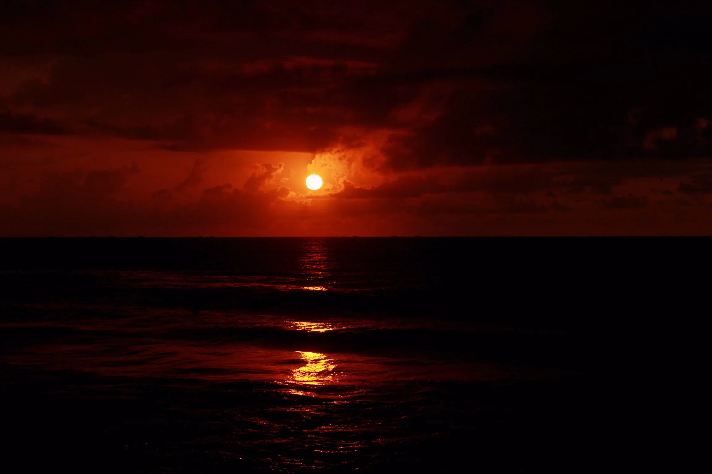 🌅
