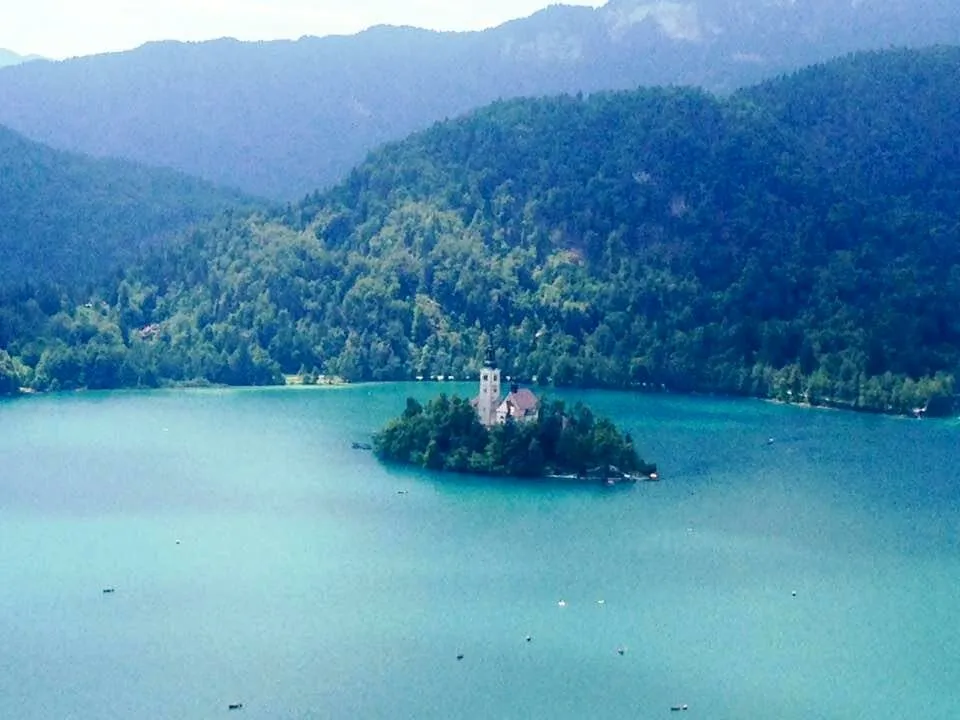 A mini-island calmly standing on a lake