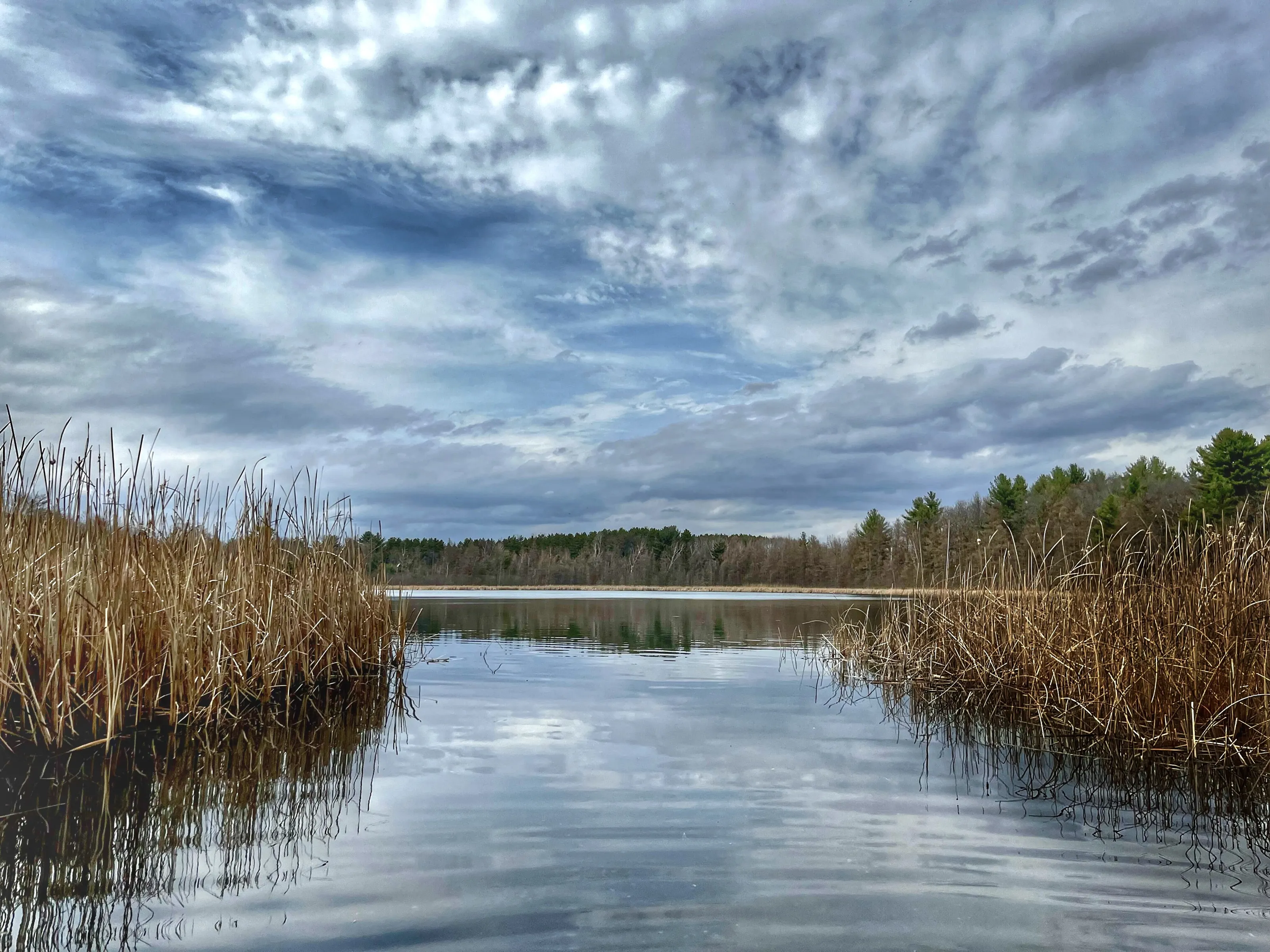Spring on the Water