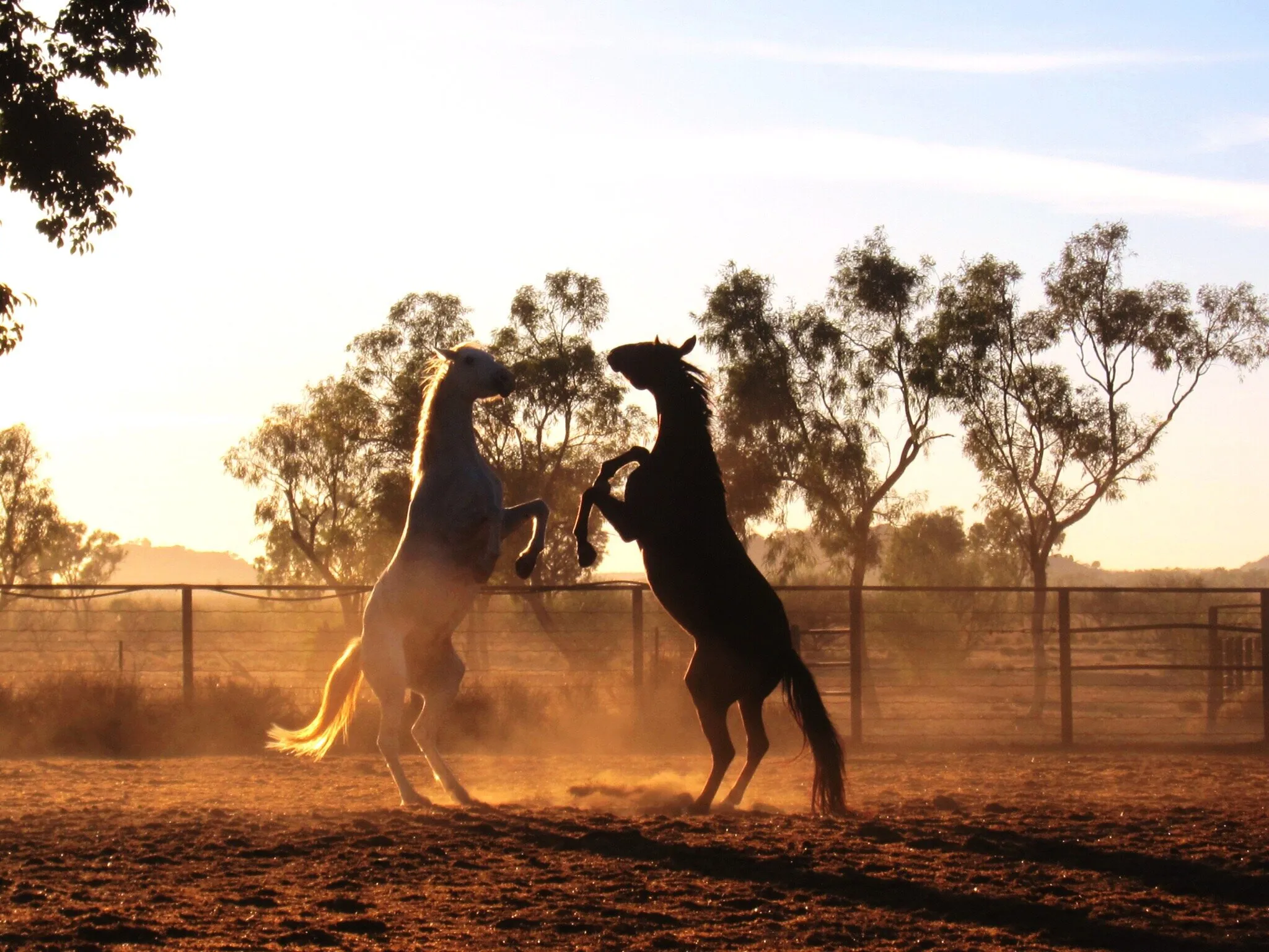 Play time