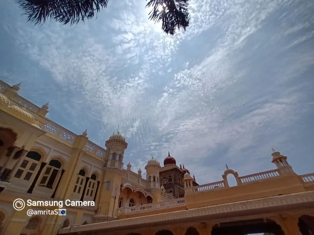 ske is an infnite movie to me...........#rajpalace #mysorepalace #ladscape