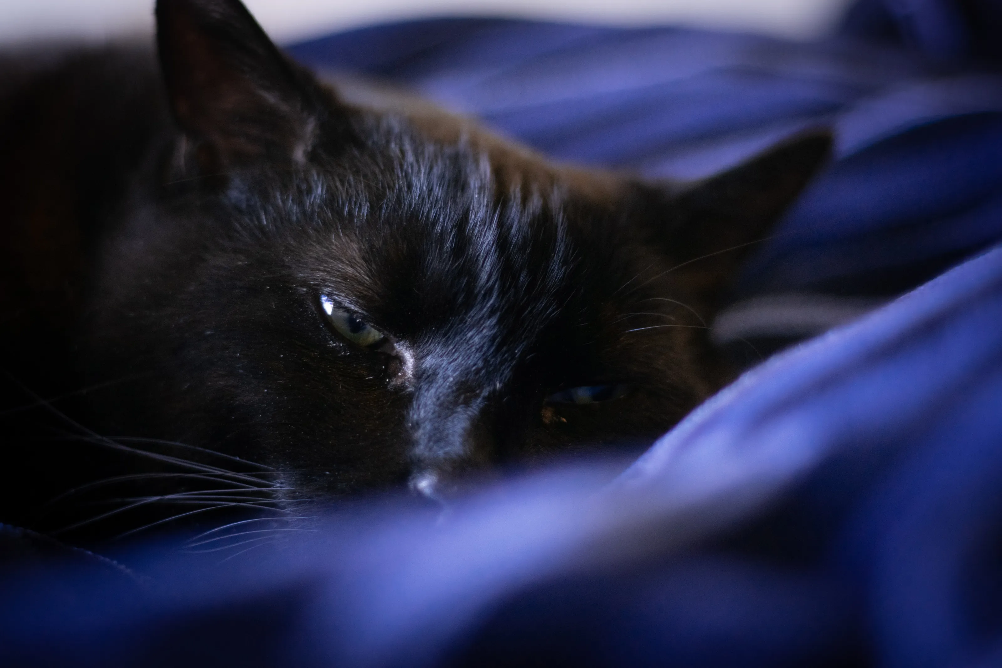Lazy days