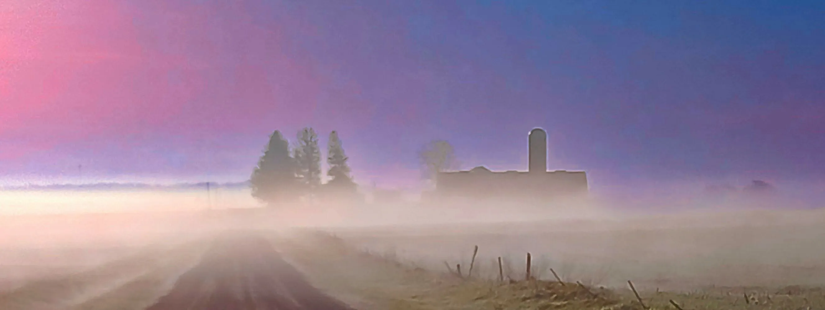 Banner image