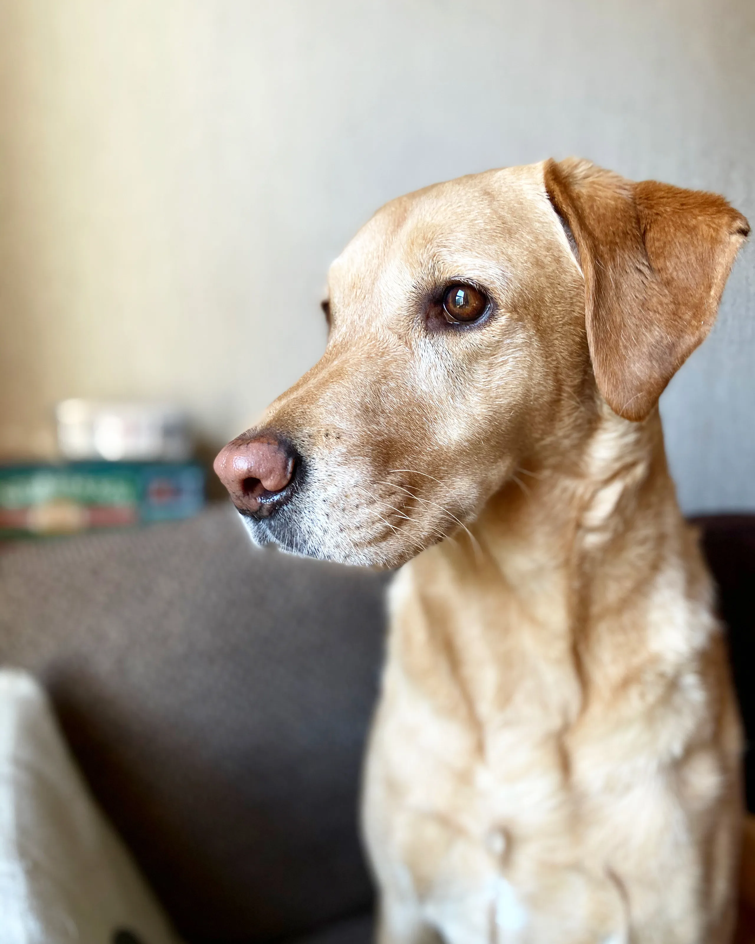 Contemplation